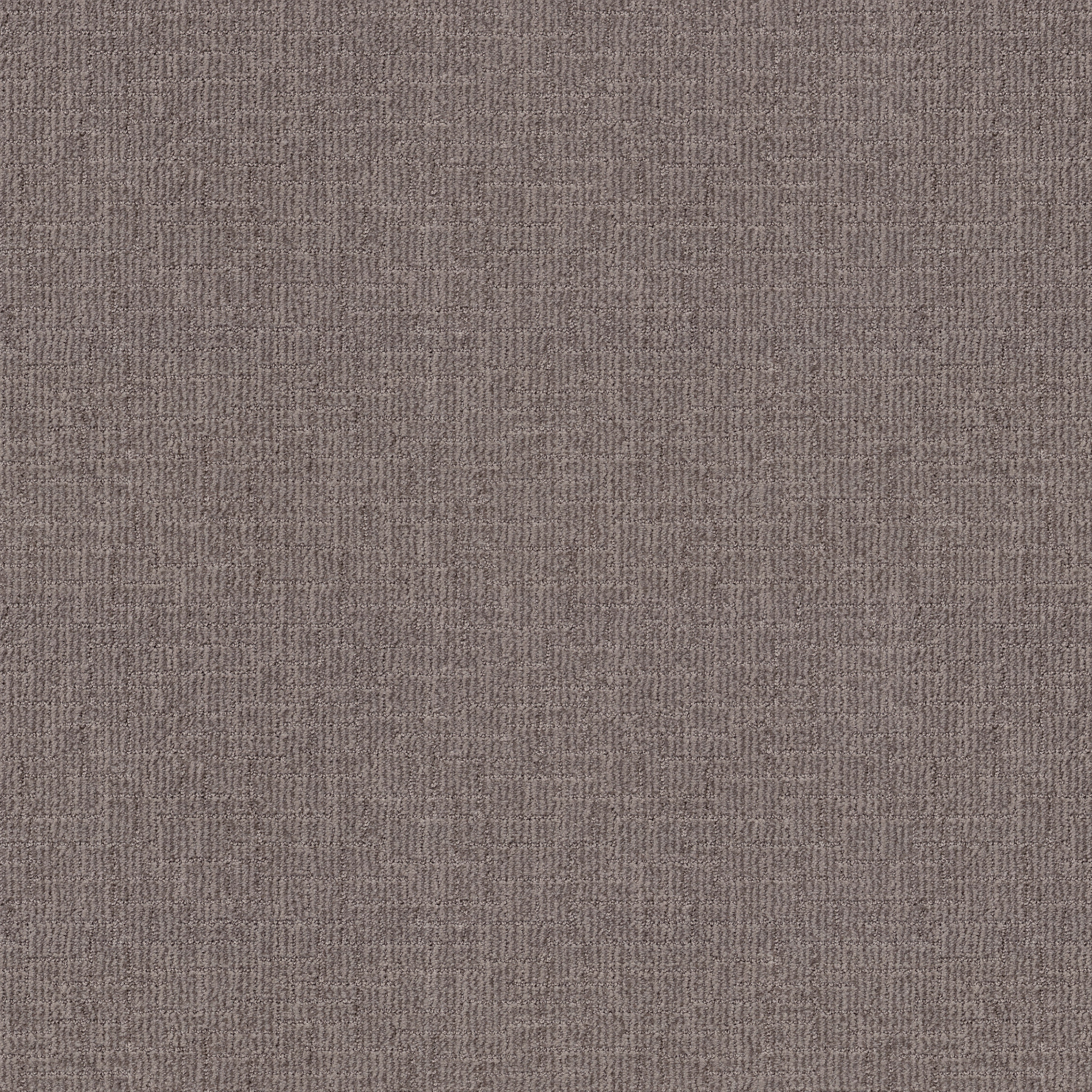 Crusader-Stonish-ZB225_00734