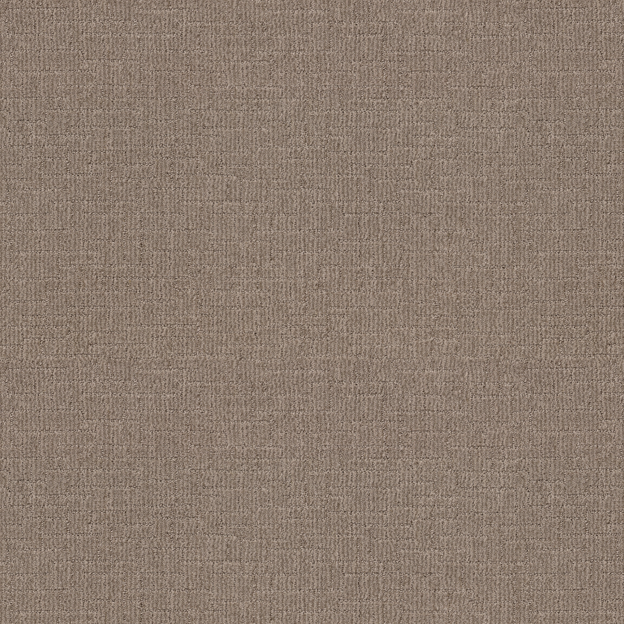 Crusader-Plains-ZB225_00753