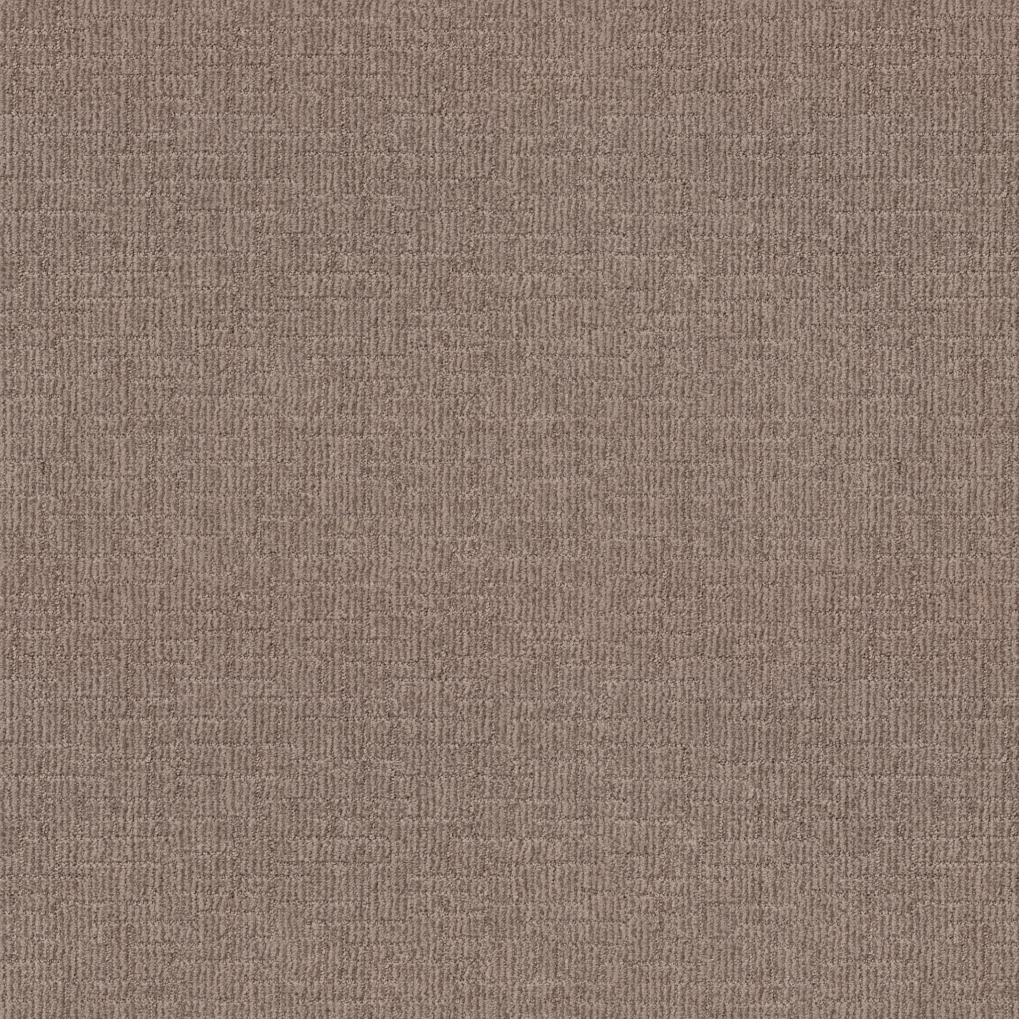 Crusader-Driftwood-ZB225_00755