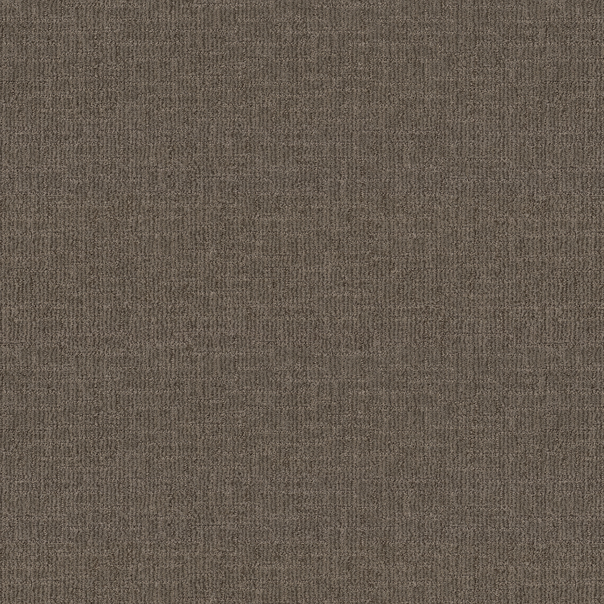 Crusader - Mustang - ZB225_00776