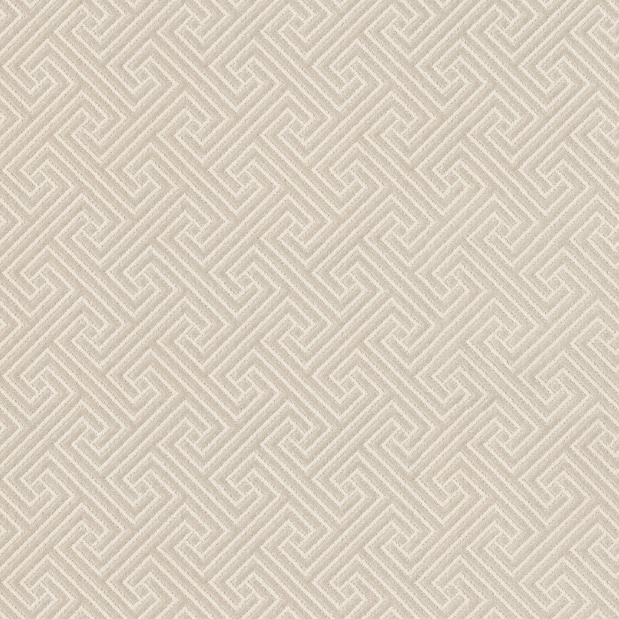 Relique-Daylily-ZB226_00123