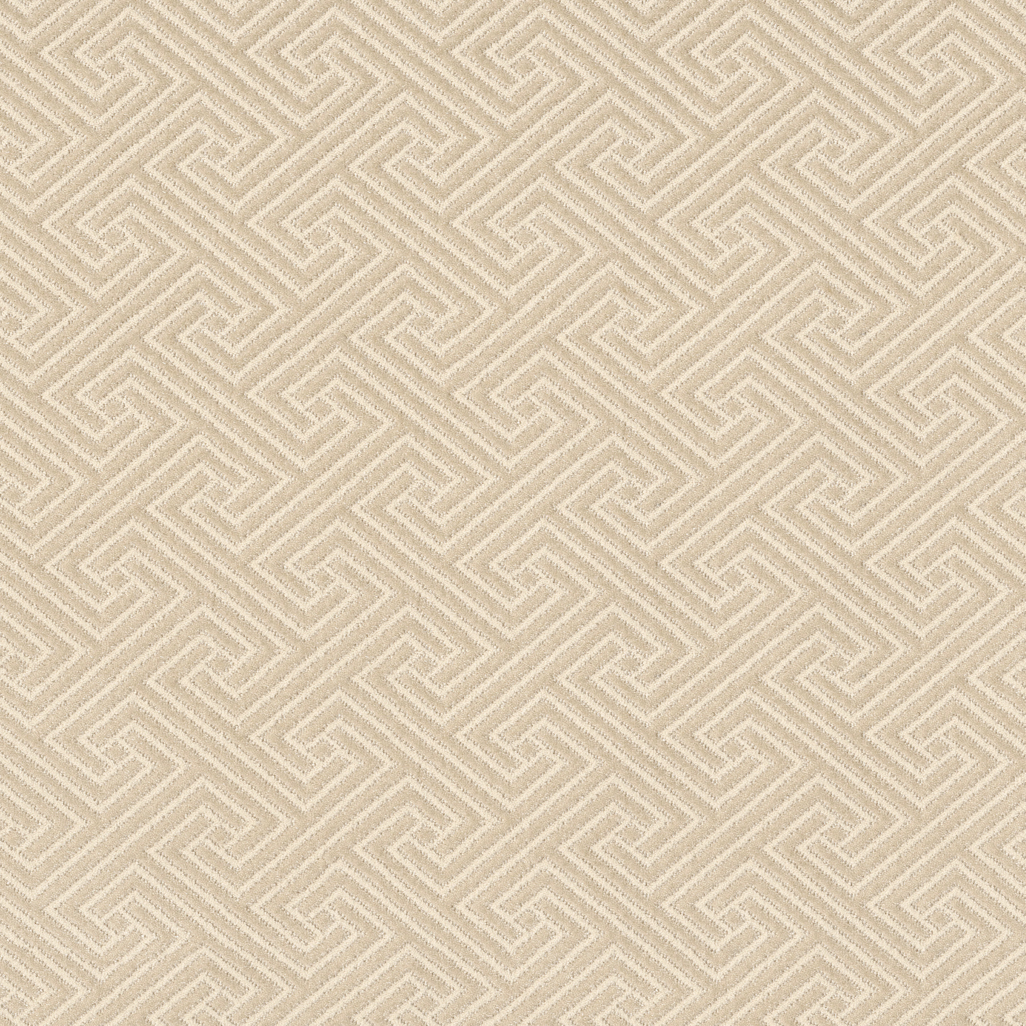 Relique-Sheer Sunlight-ZB226_00222