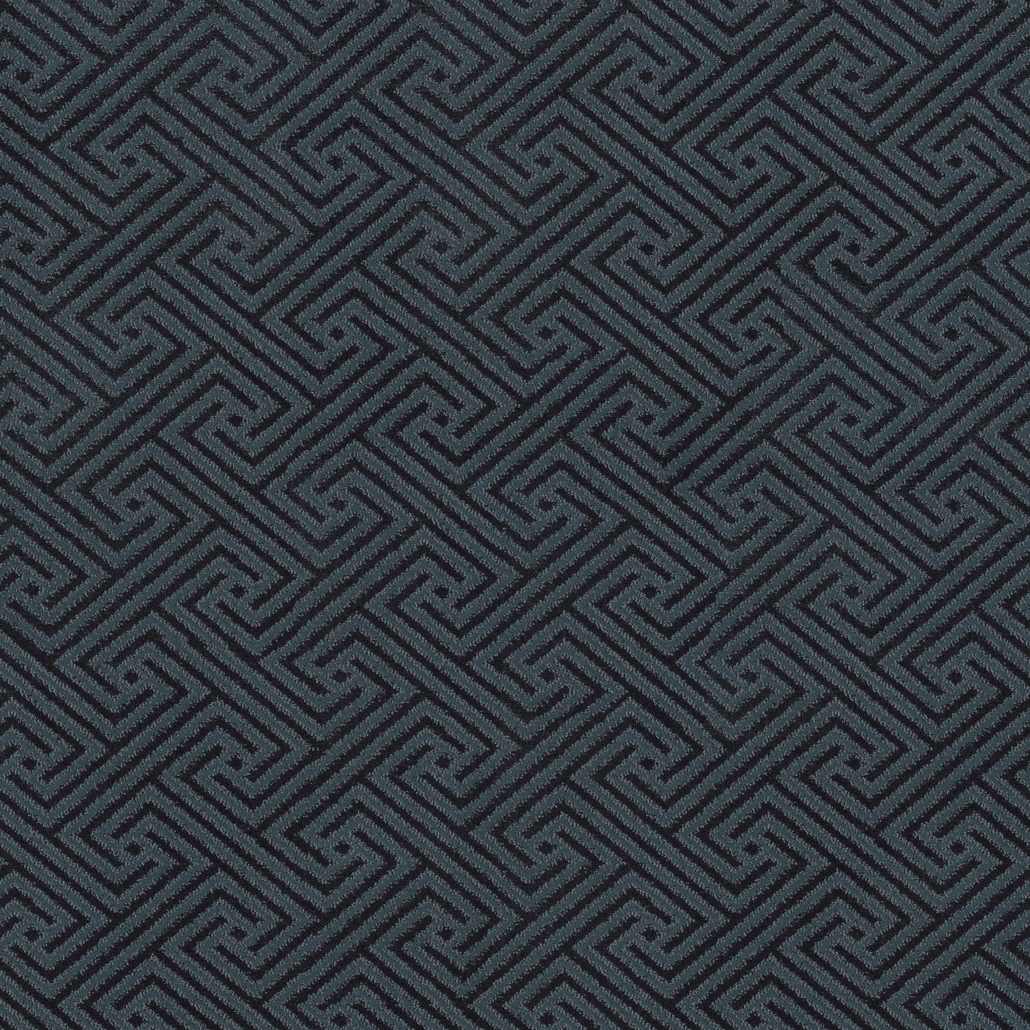 Relique-Solstice-ZB226_00456