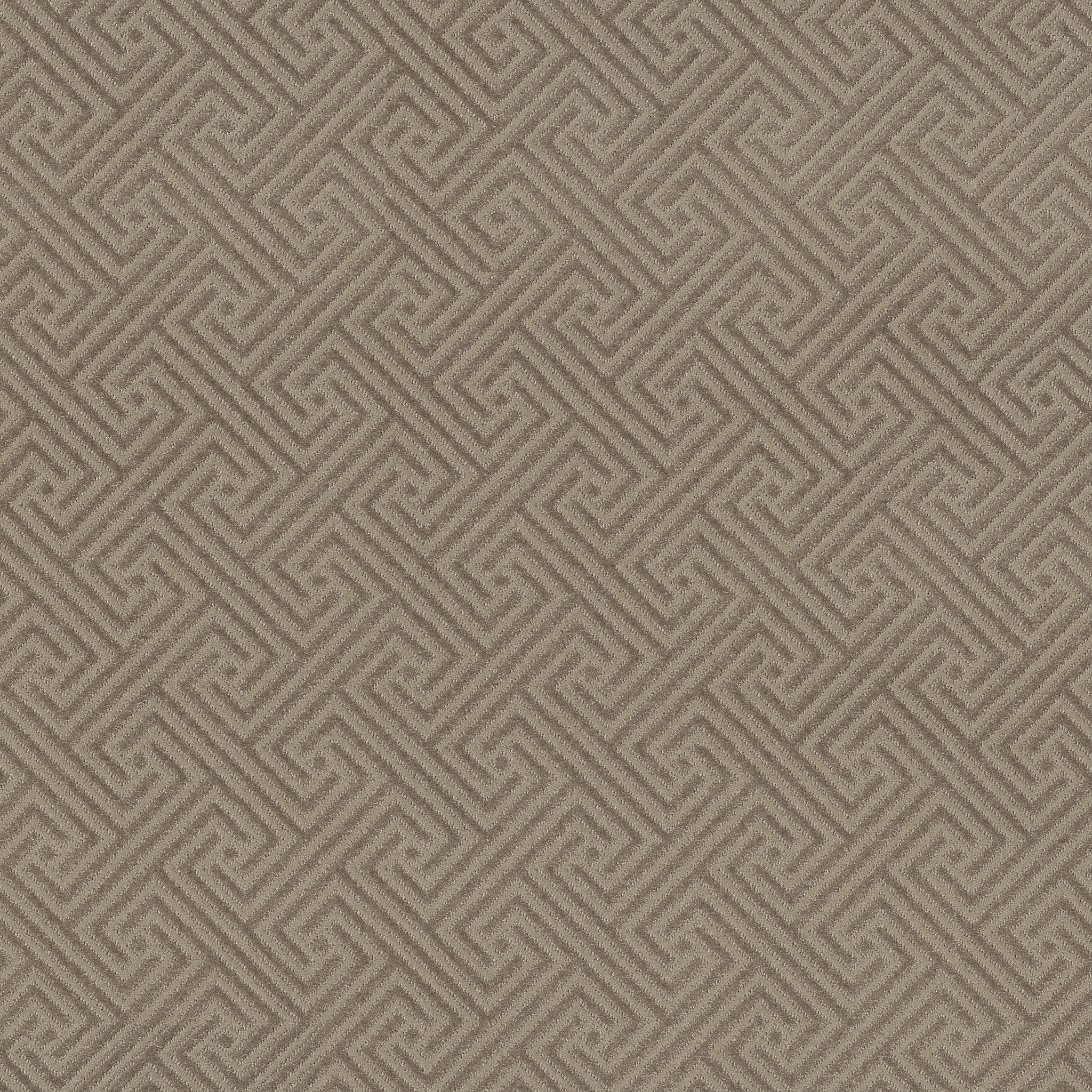 Relique-Shady-ZB226_00534