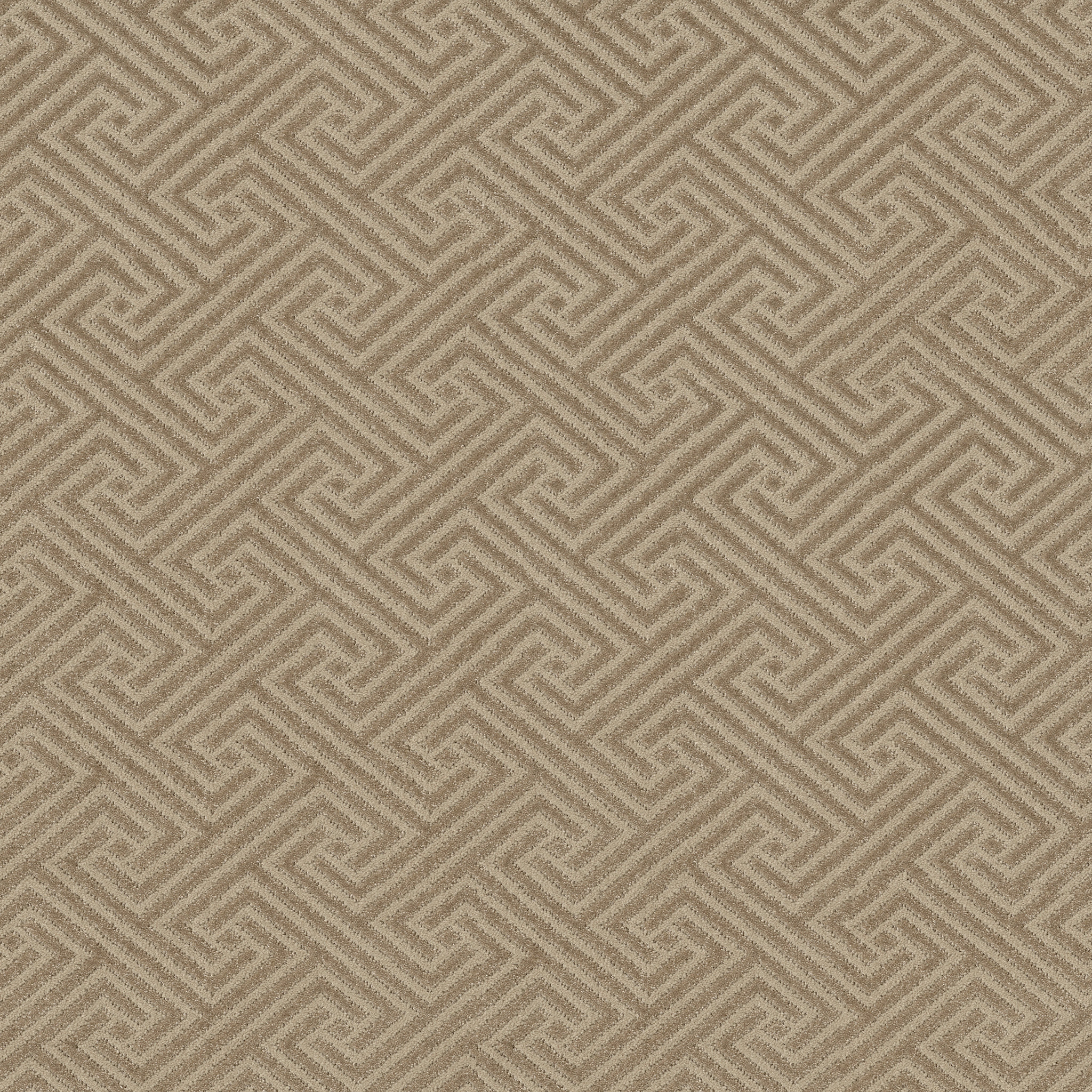 Relique-Birchwood-ZB226_00712