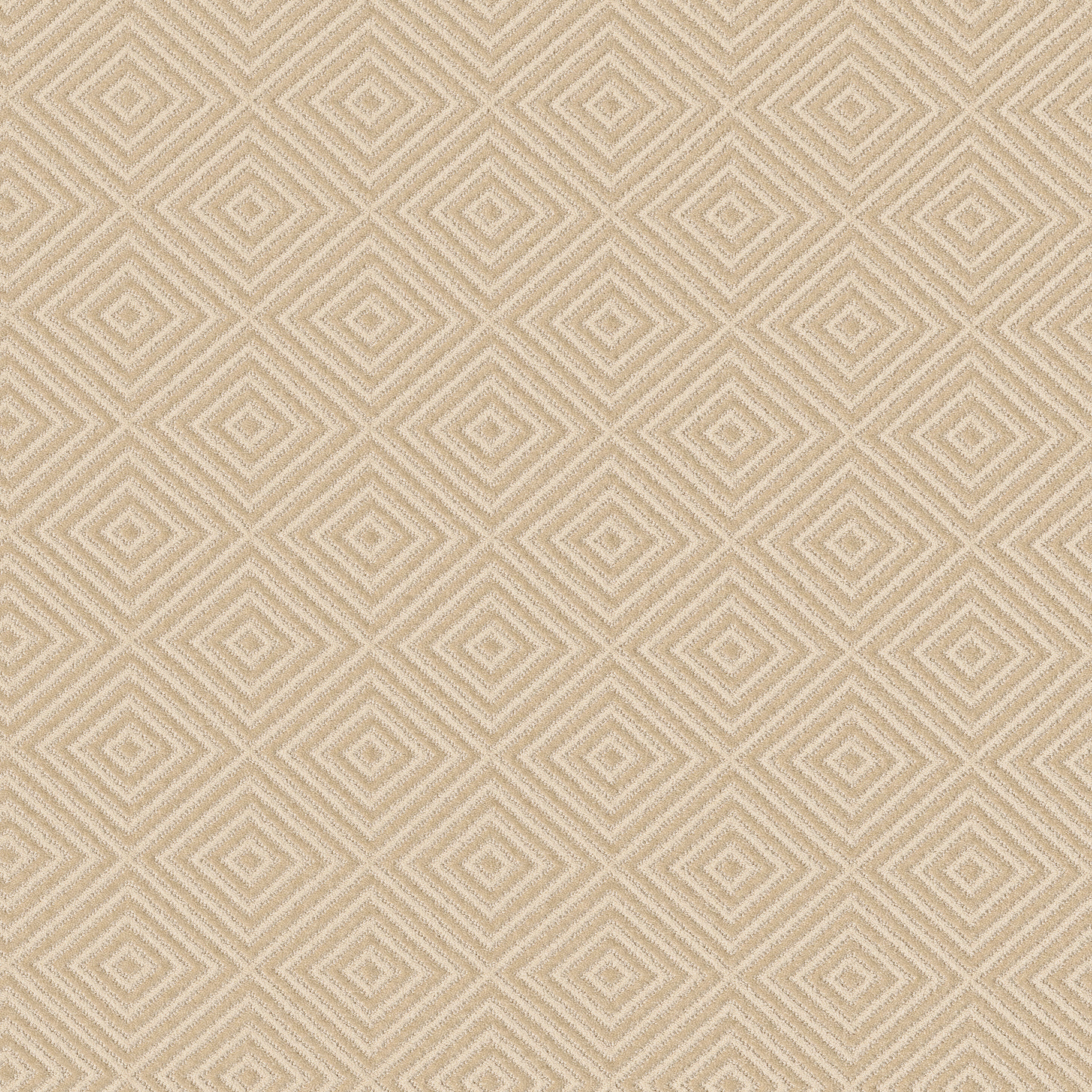 Spartacus-Sheer Sunlight-ZB227_00222