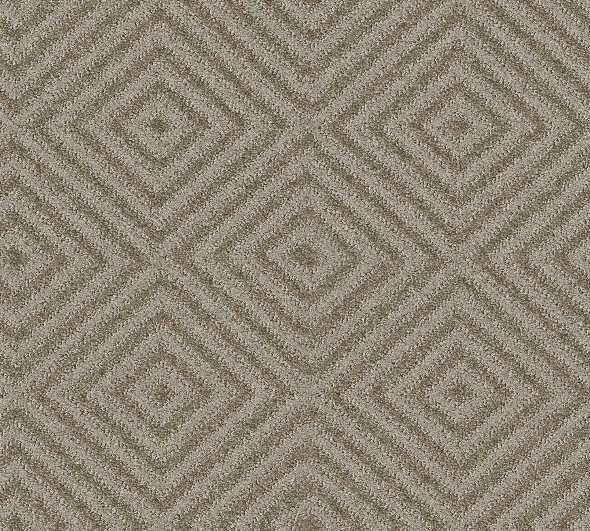 Spartacus-Shady-ZB227_00534