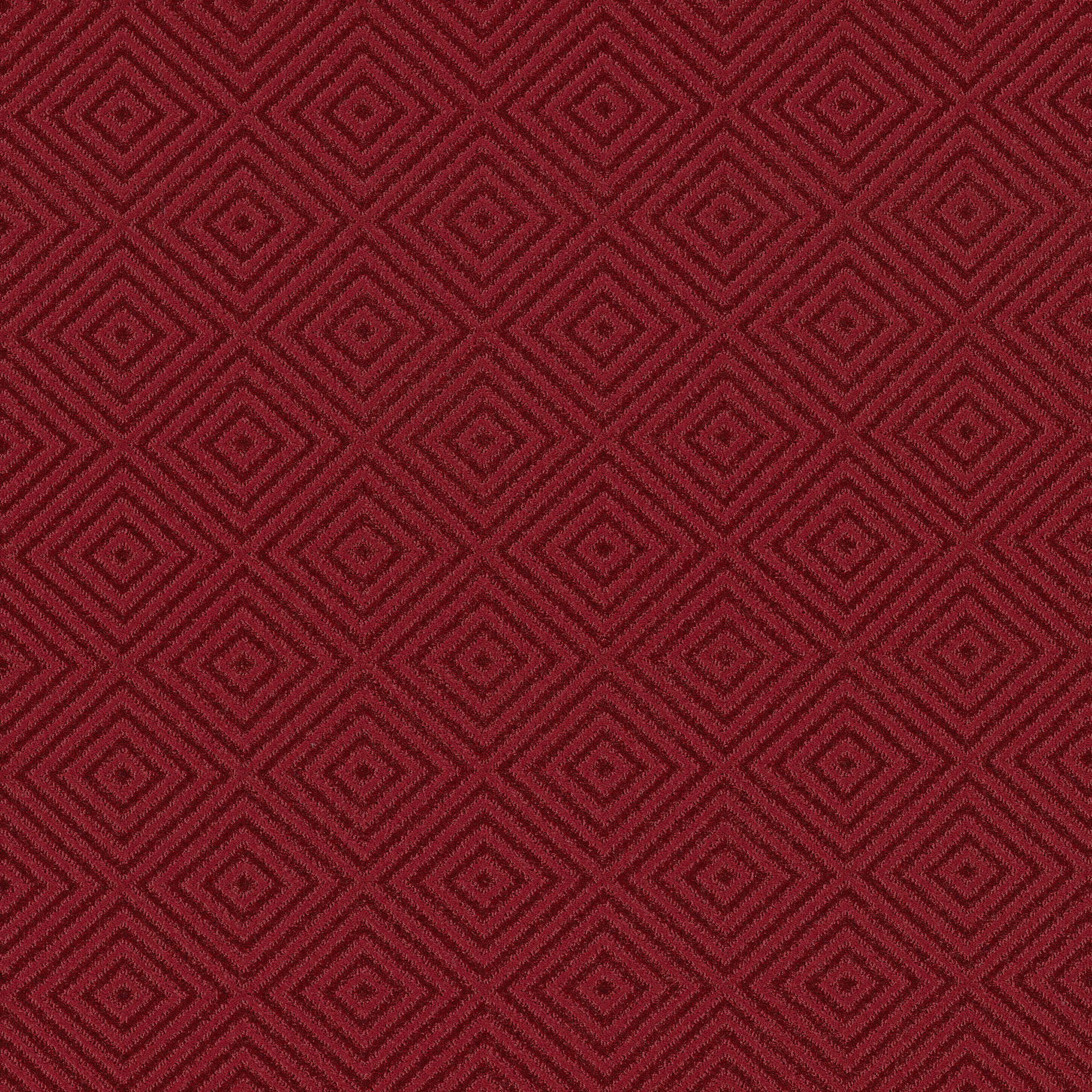 Spartacus - Cherry Blossom - ZB227_00627