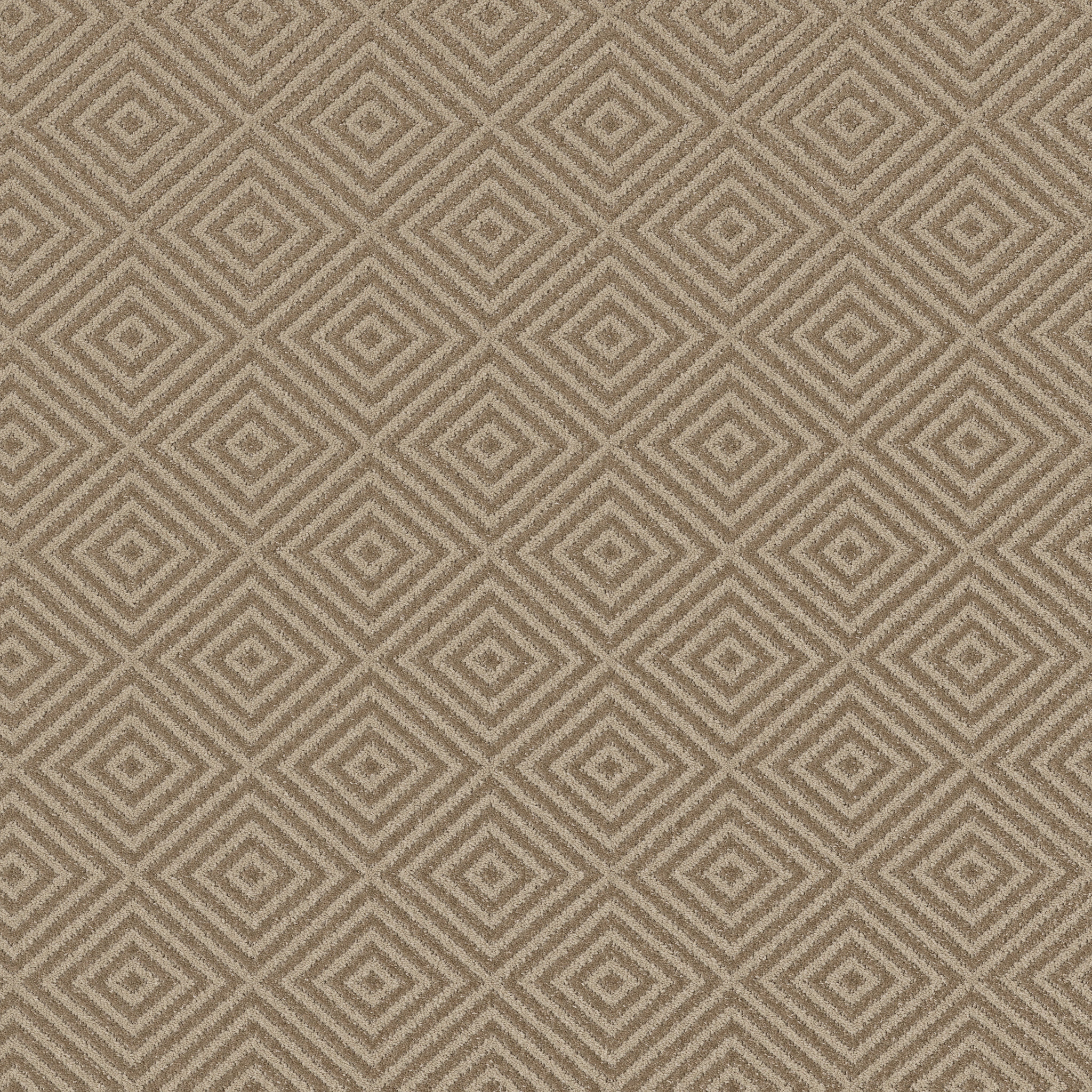 Spartacus-Birchwood-ZB227_00712