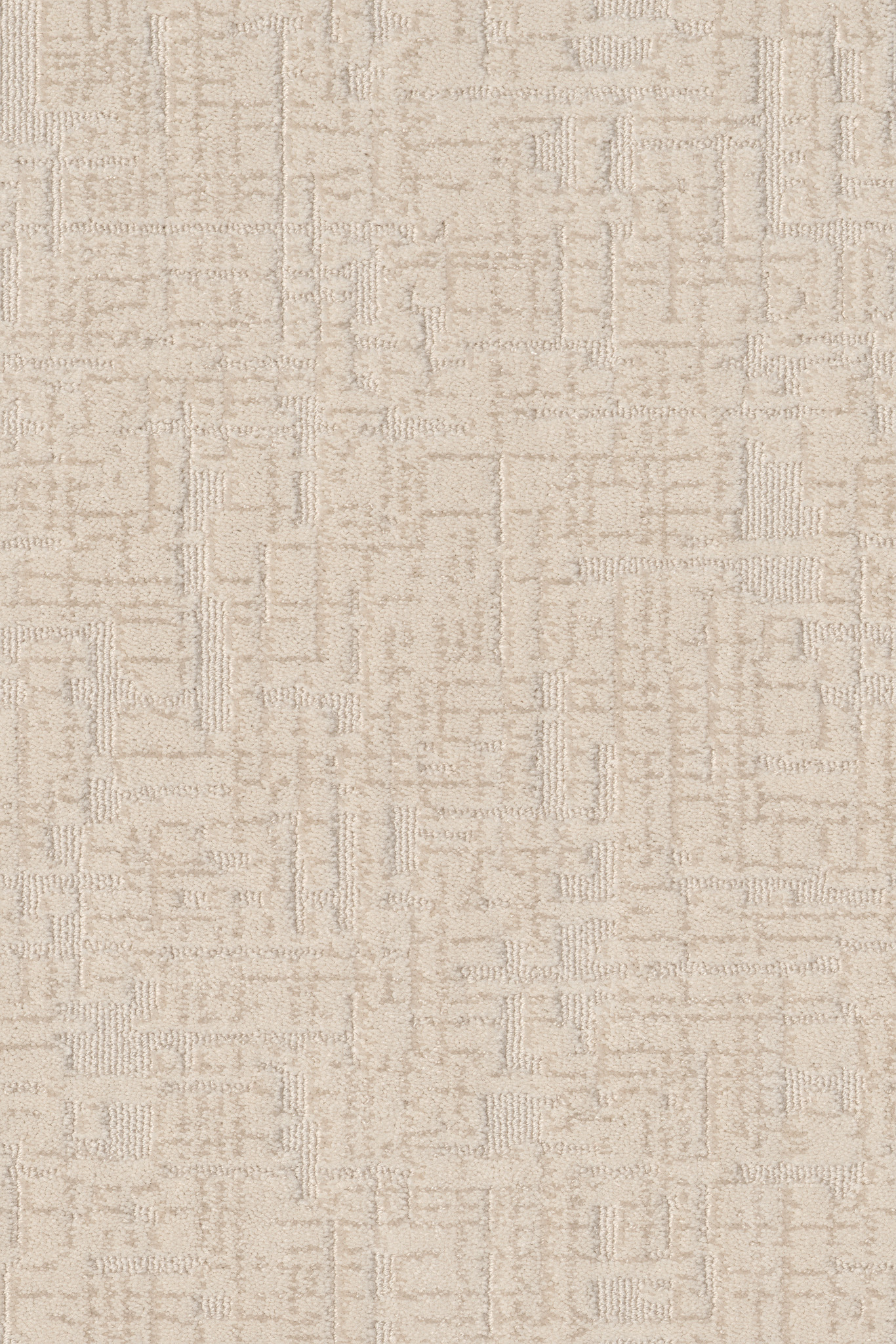 Enlightment-Daylily-ZB229_00123