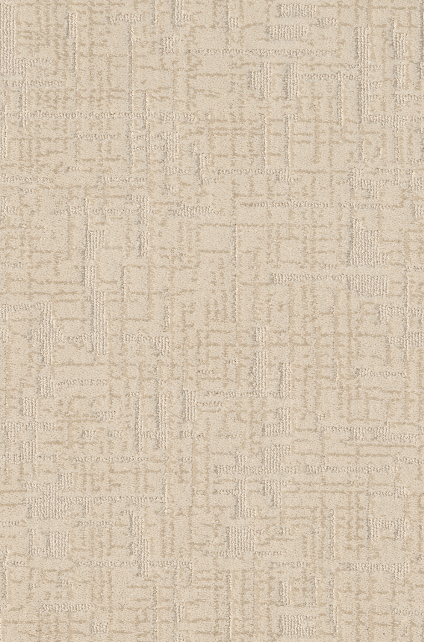 Enlightment-Sparkling-ZB229_00124