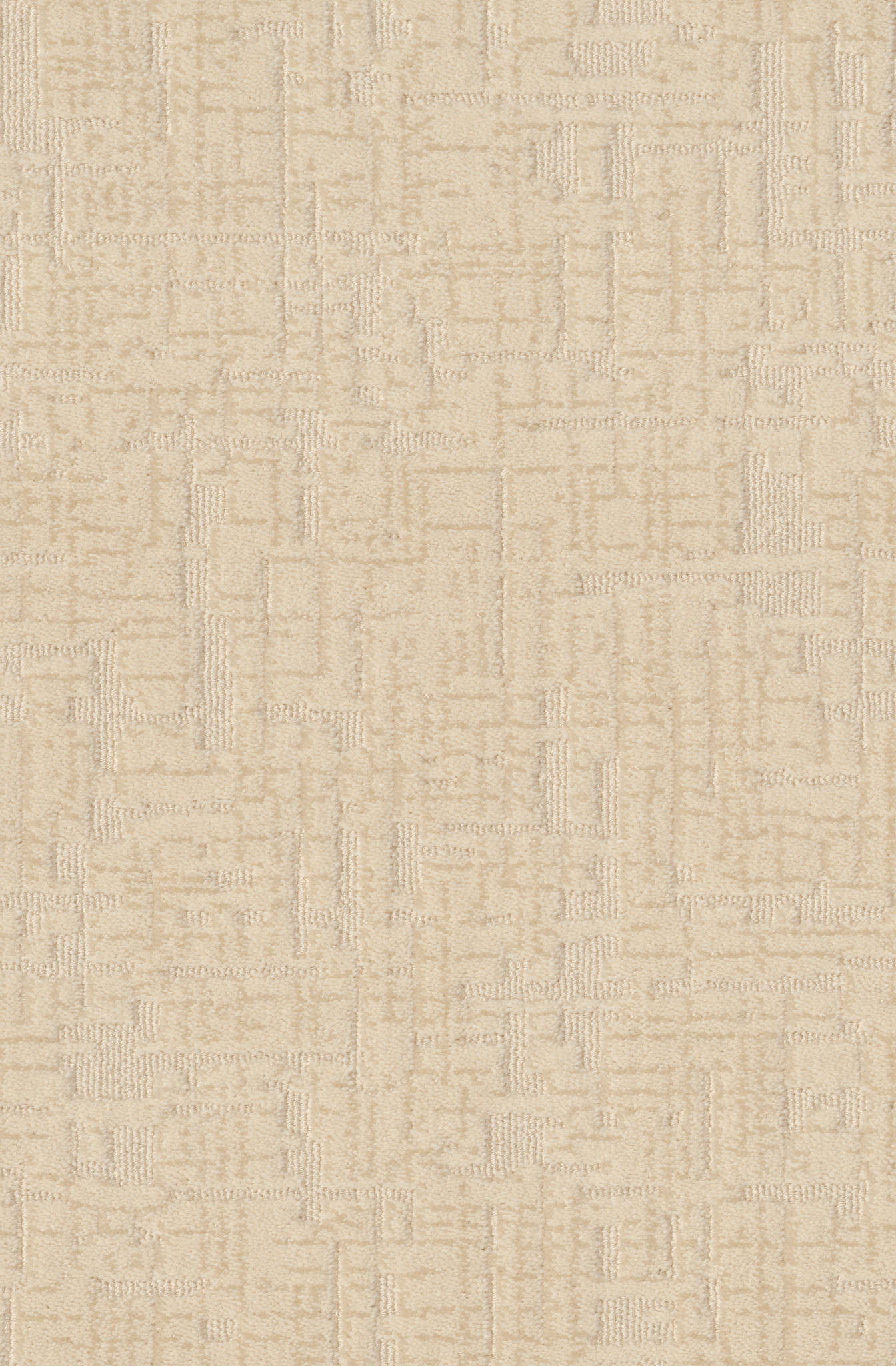 Enlightment-Sheer Sunlight-ZB229_00222