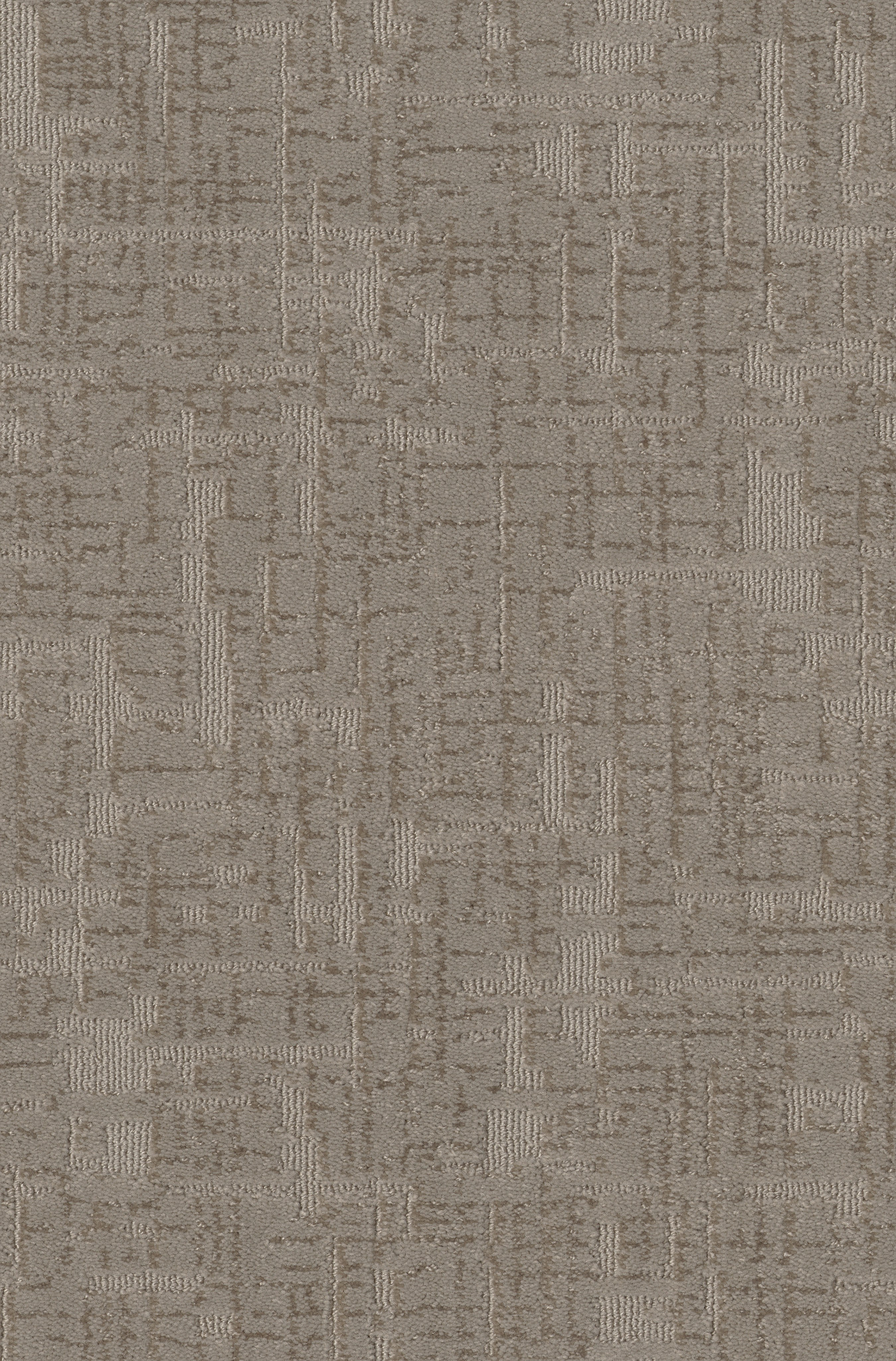 Enlightment-Shady-ZB229_00534