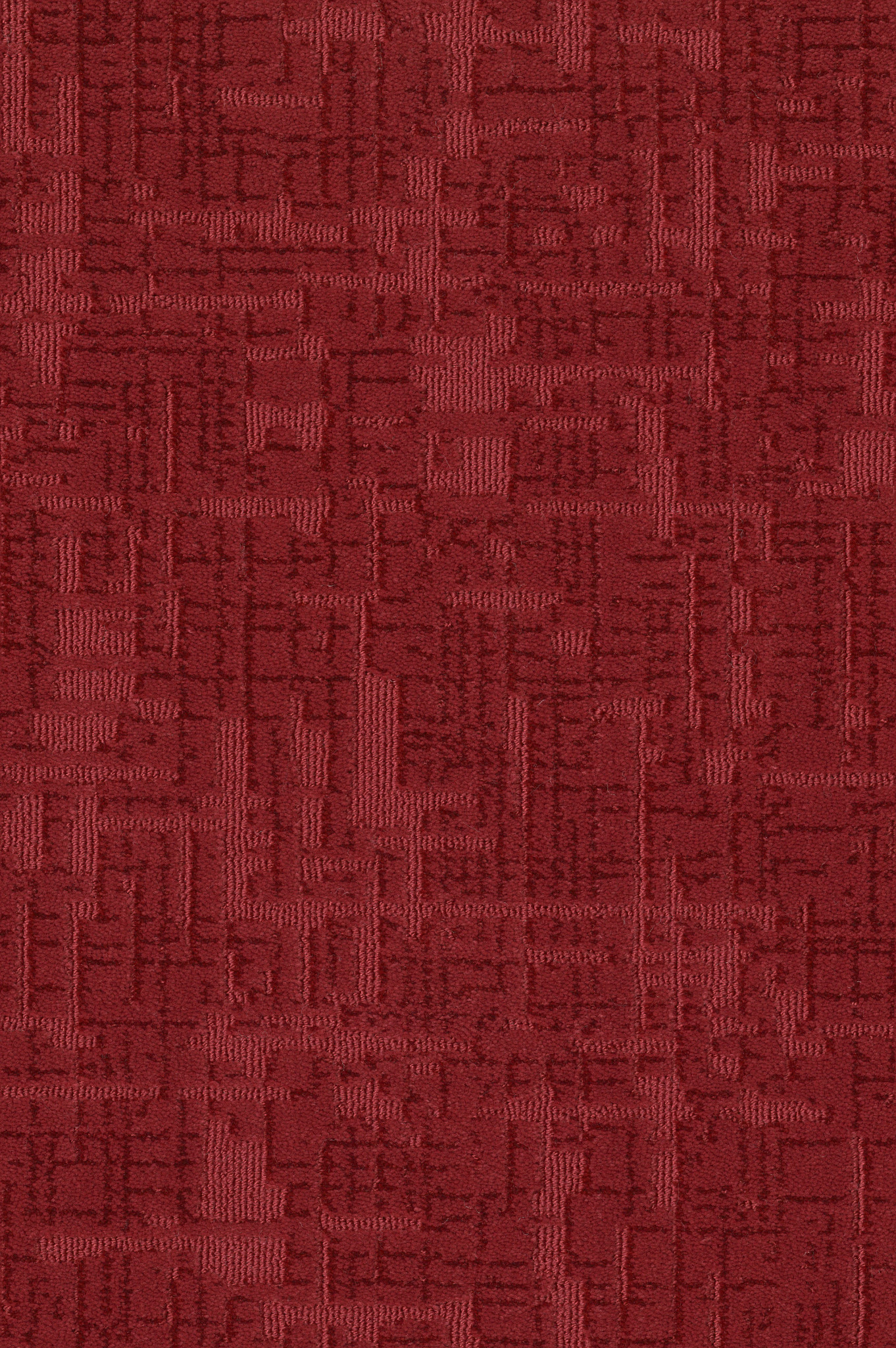 Enlightment - Cherry Blossom - ZB229_00627