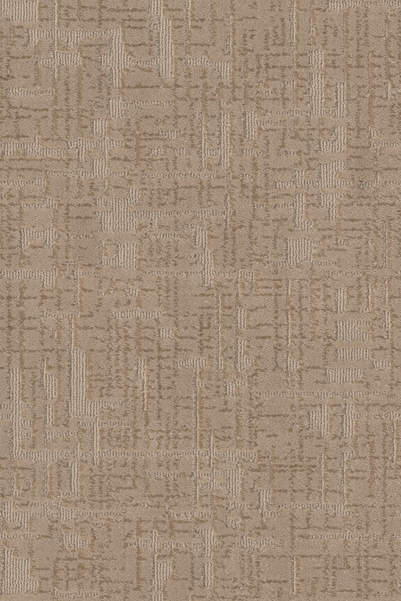 Enlightment-Birchwood-ZB229_00712