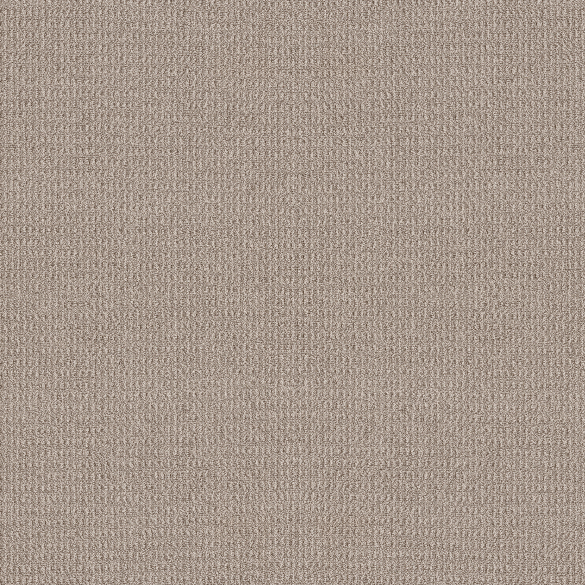 Oxford Tan