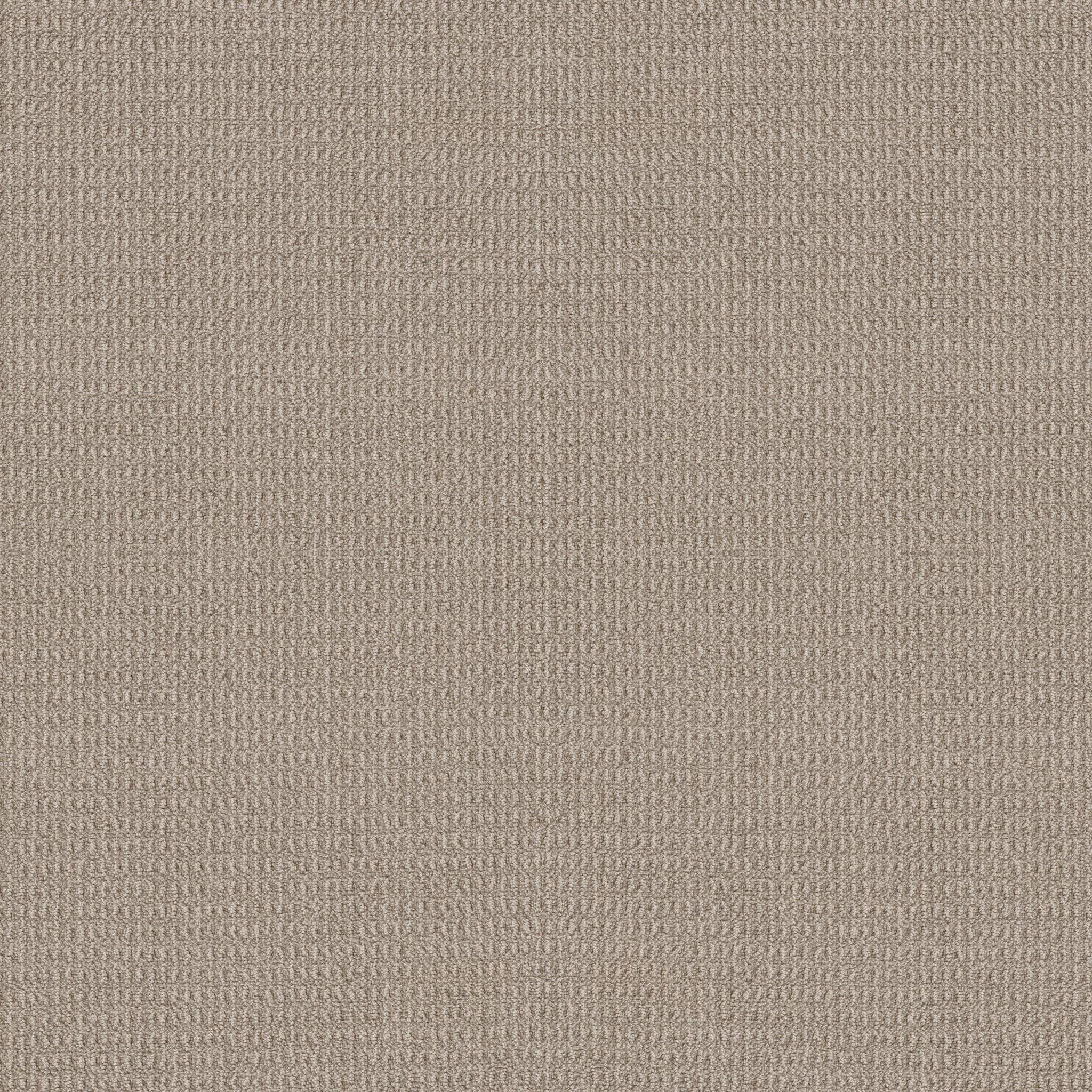 Point Sur ZB232 00532 | Shaw Builder Flooring