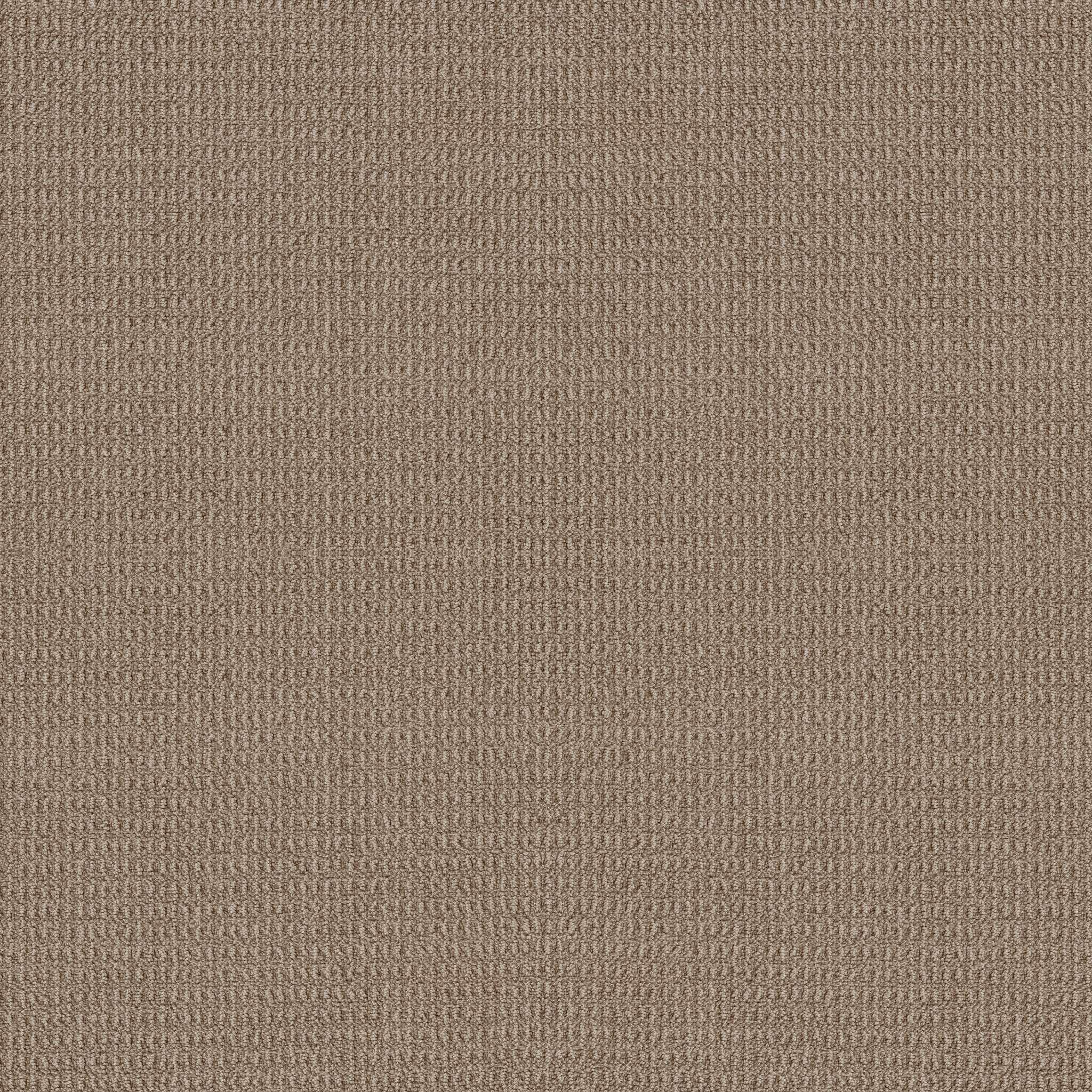 Plaza Taupe