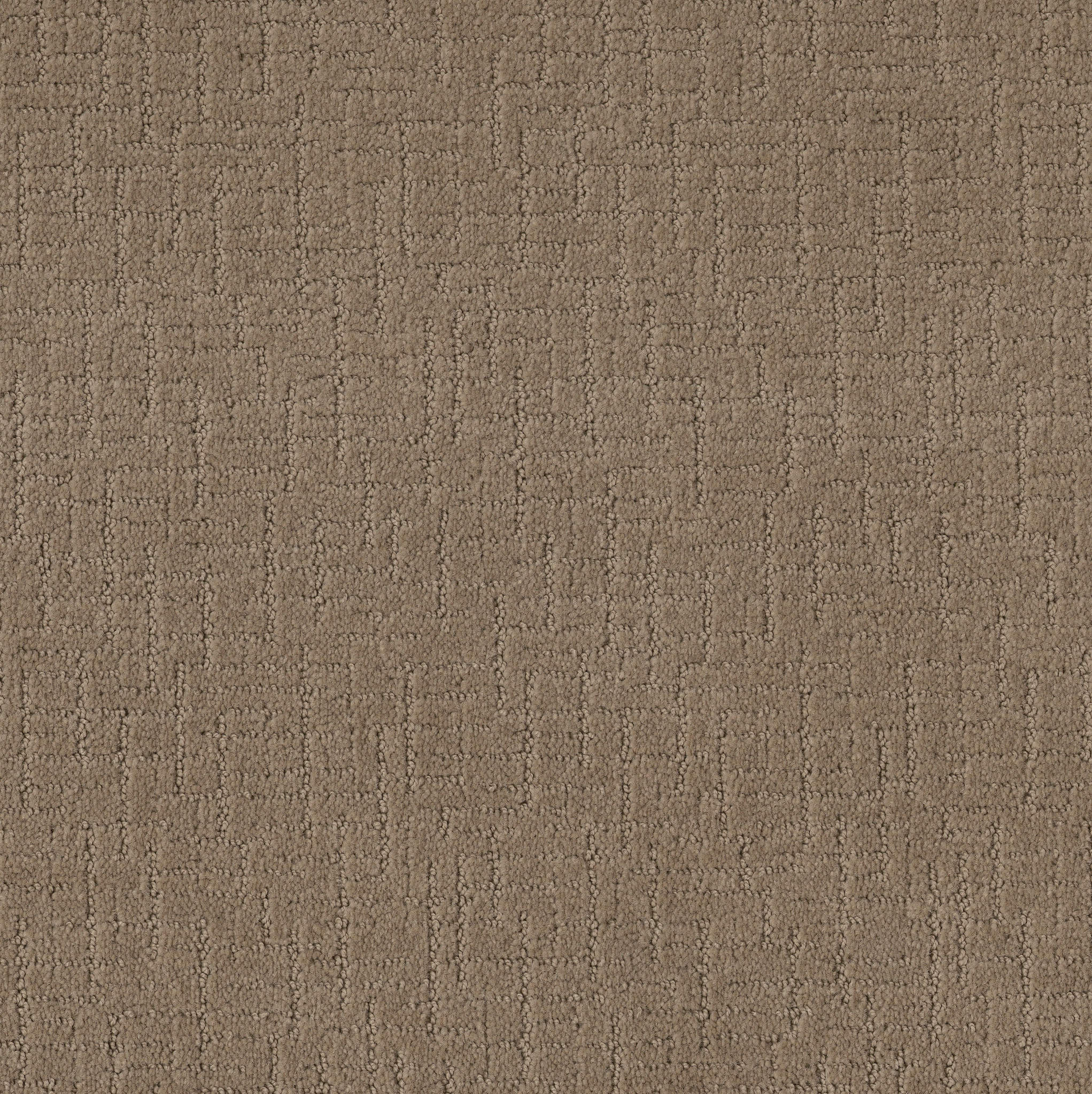 Martini Time III-Stucco Tan-ZB233_00723