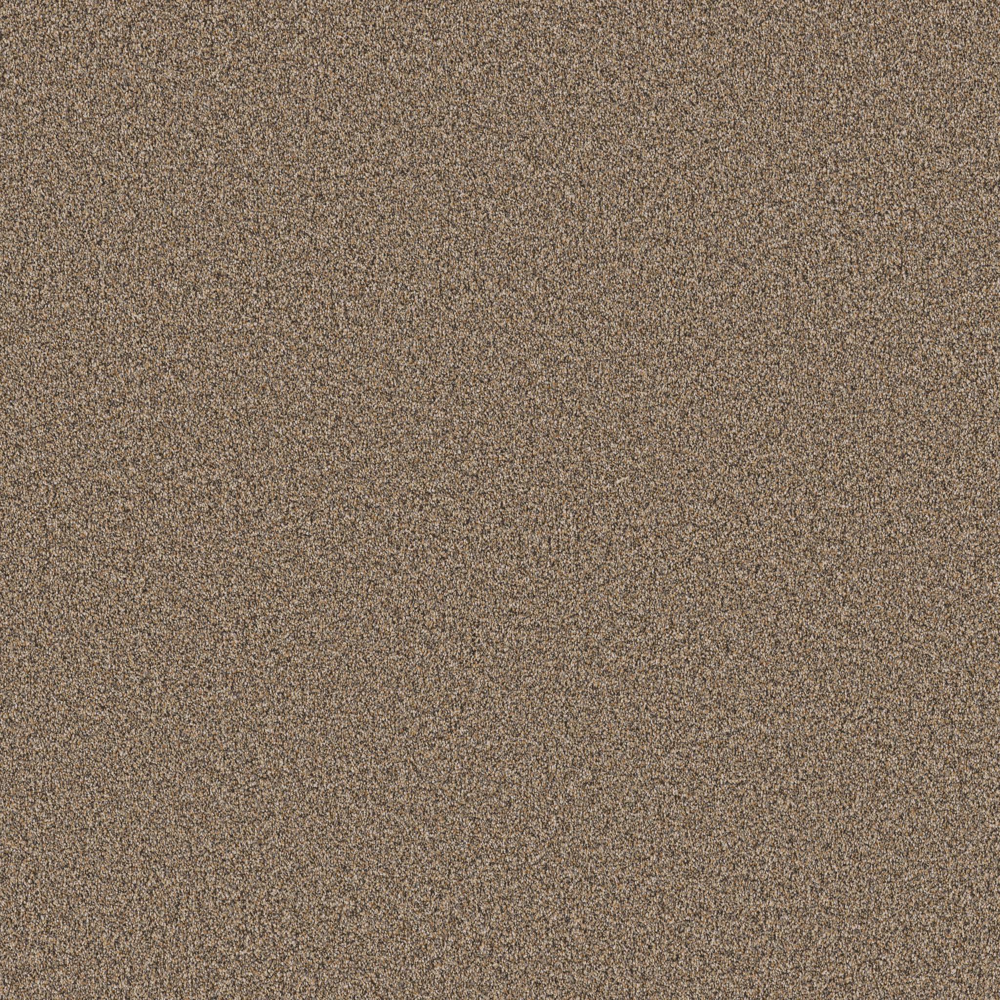 La Vida ZB255 00200 | Shaw Builder Flooring
