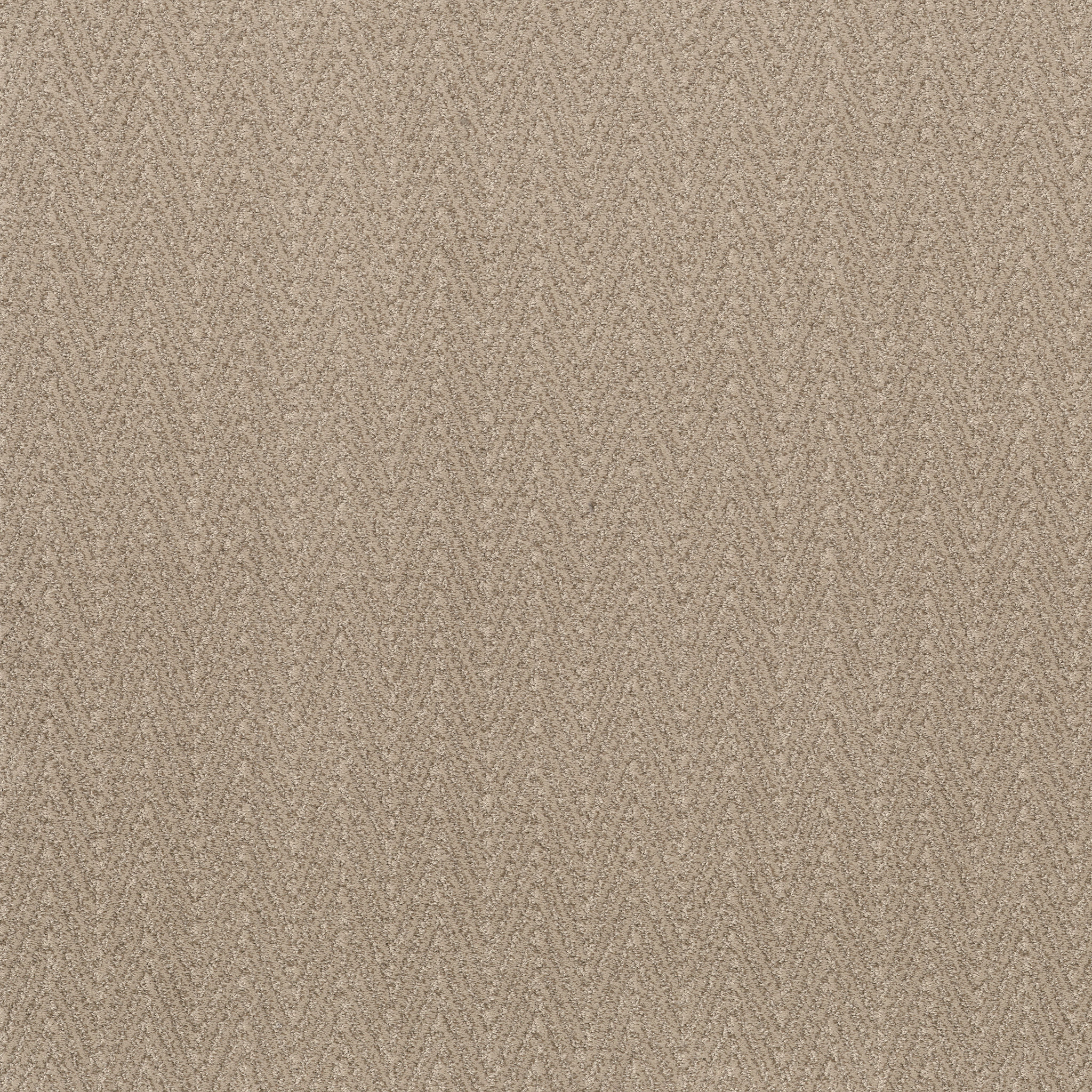 Sweet-Blonde-ZB258_00122