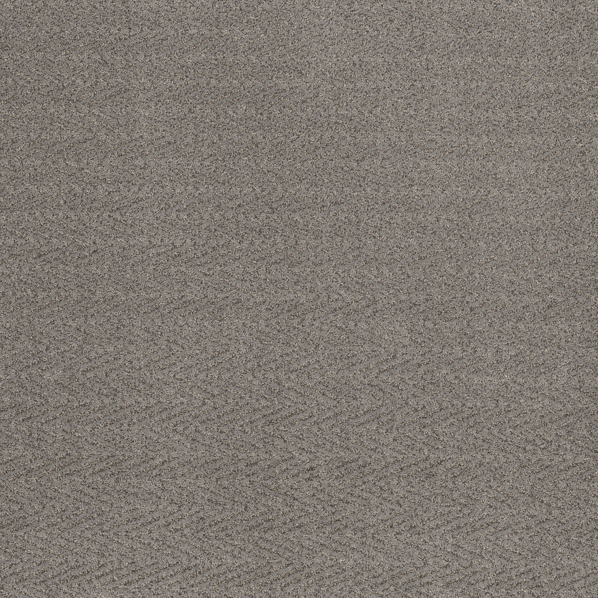 Sweet-Sensible-ZB258_00553