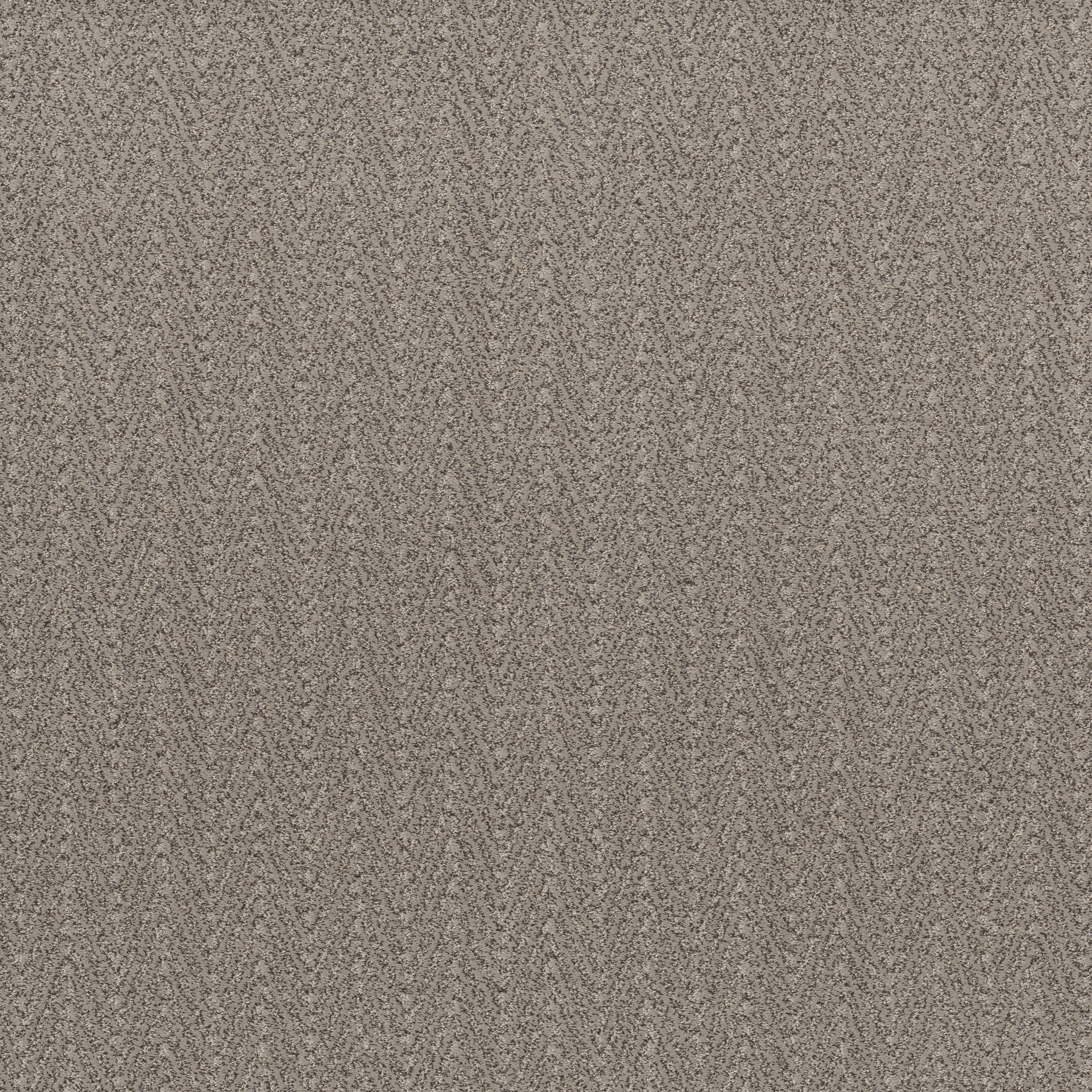 Sweet-Mindful-ZB258_00572