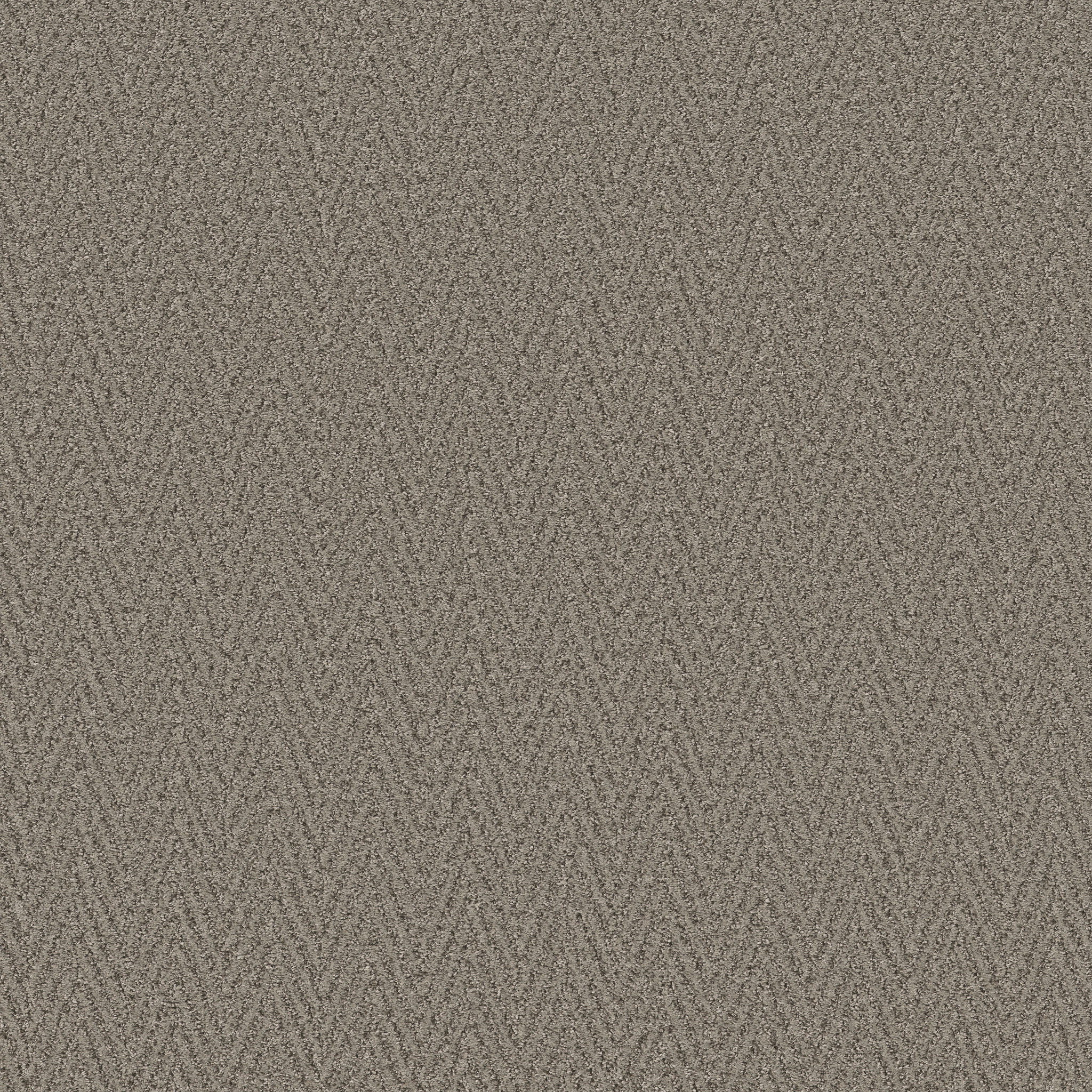 Sweet-Connected-ZB258_00576