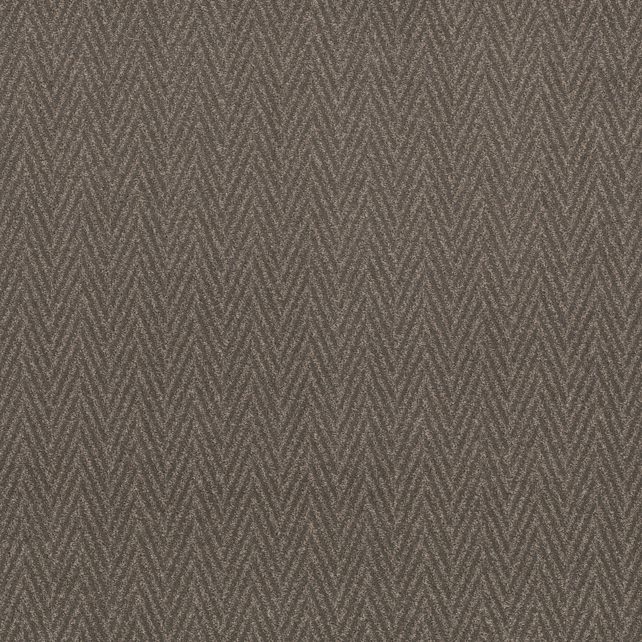 Sweet-Shade-ZB258_00578