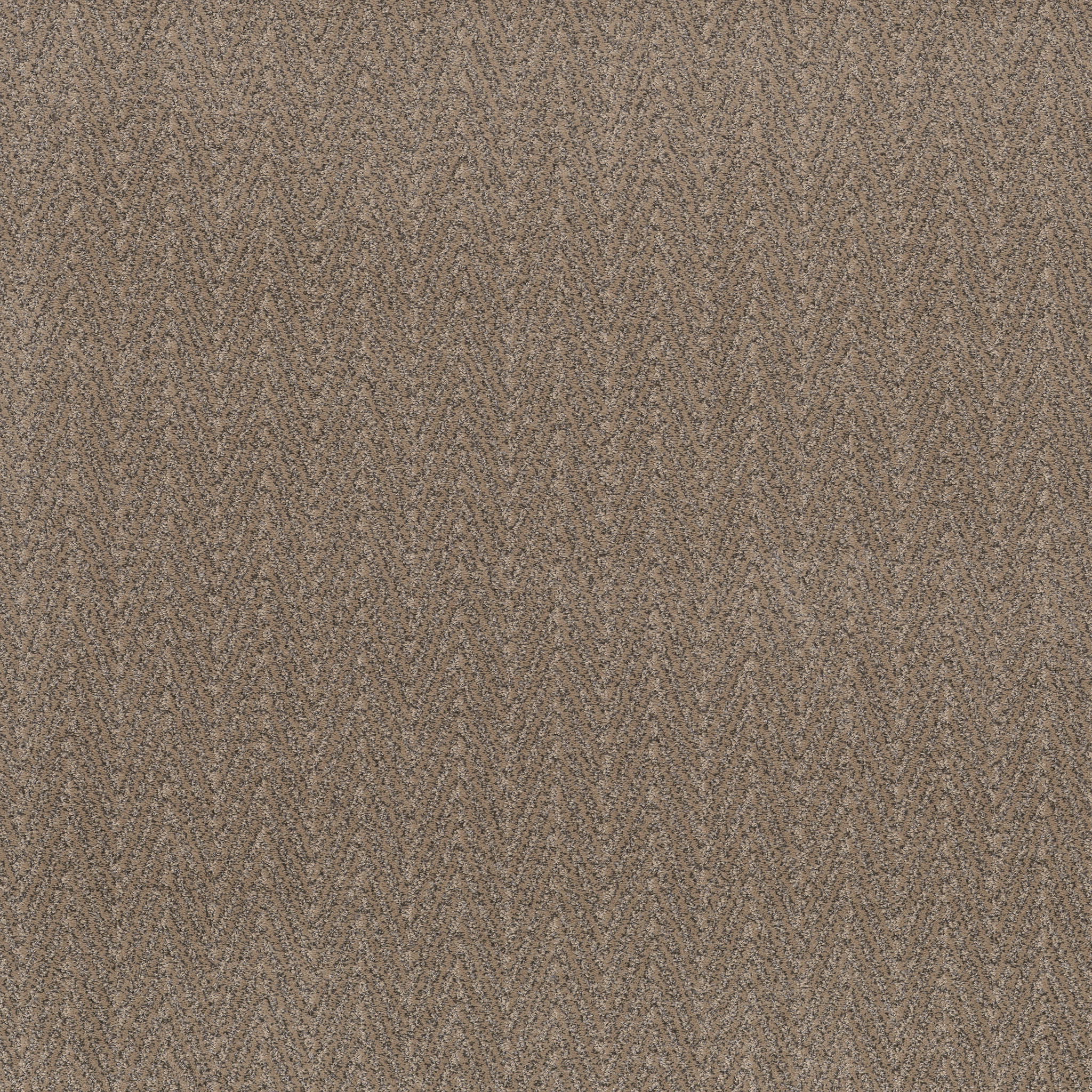 Sweet-Camelback-ZB258_00673