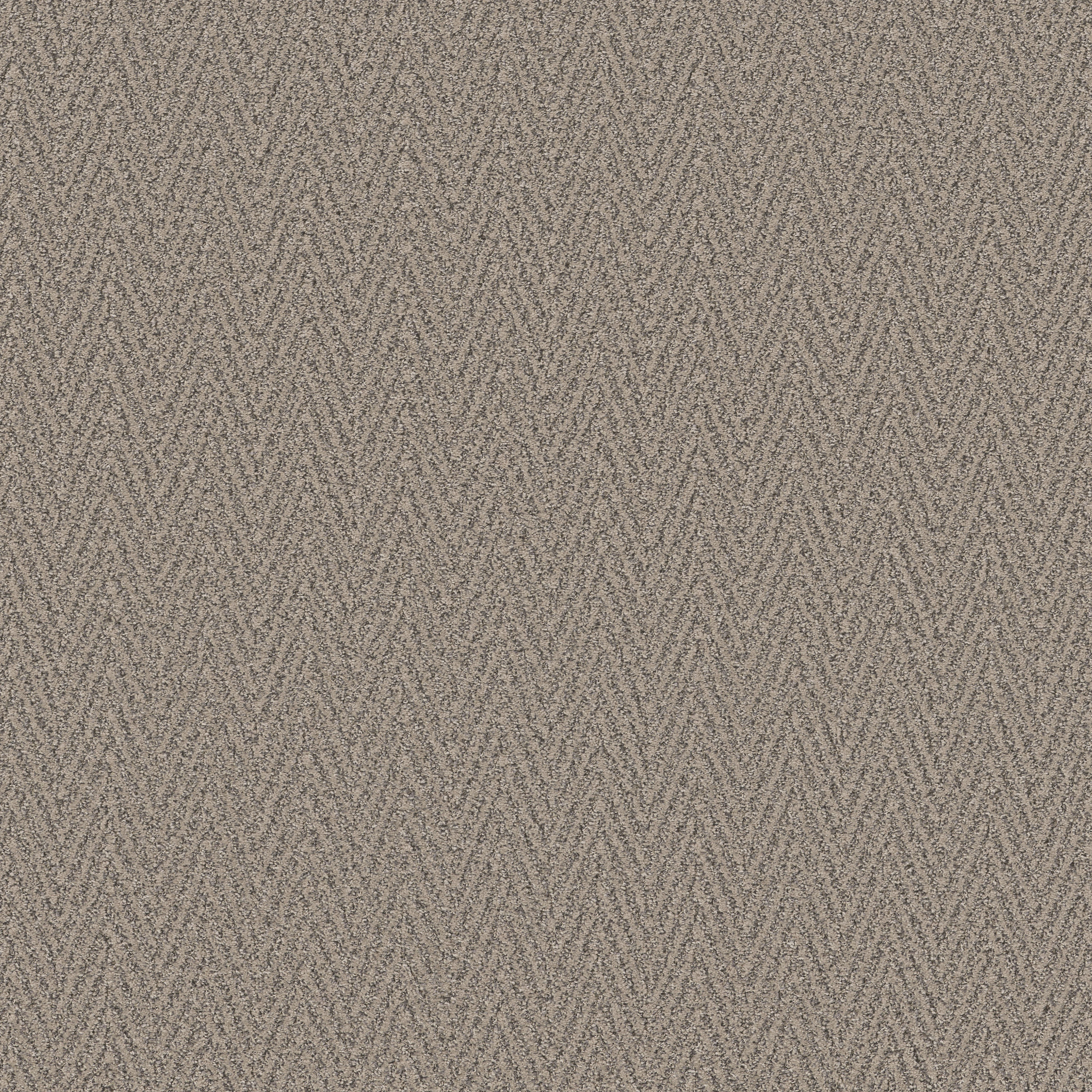 Sweet-Grounded-ZB258_00753