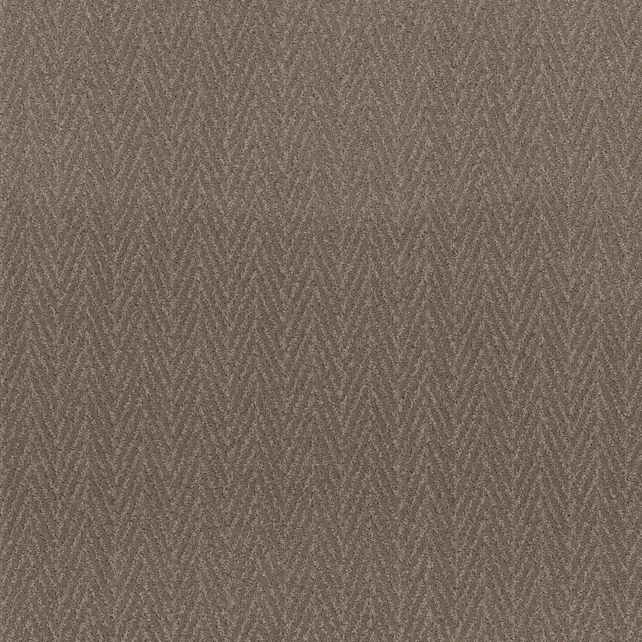 Sweet-Sable-ZB258_00775