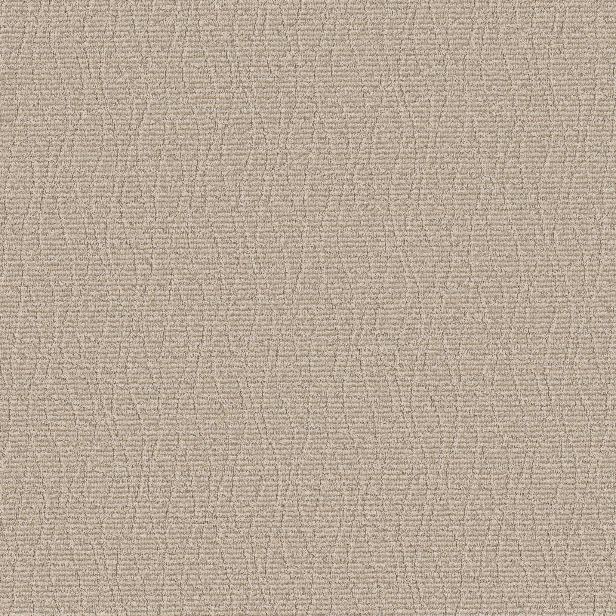 Easy Going ZB261 00211 | Shaw Builder Flooring