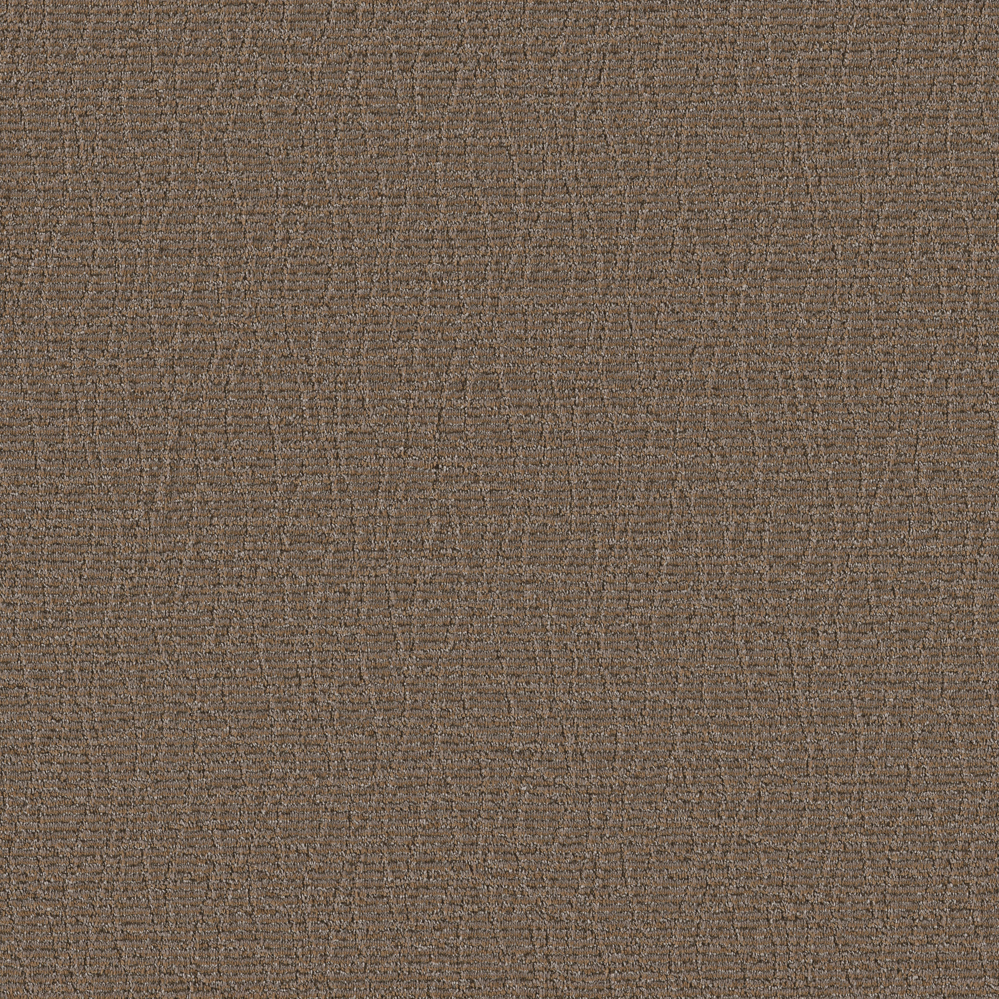 Easy Going ZB261 00767 | Shaw Builder Flooring