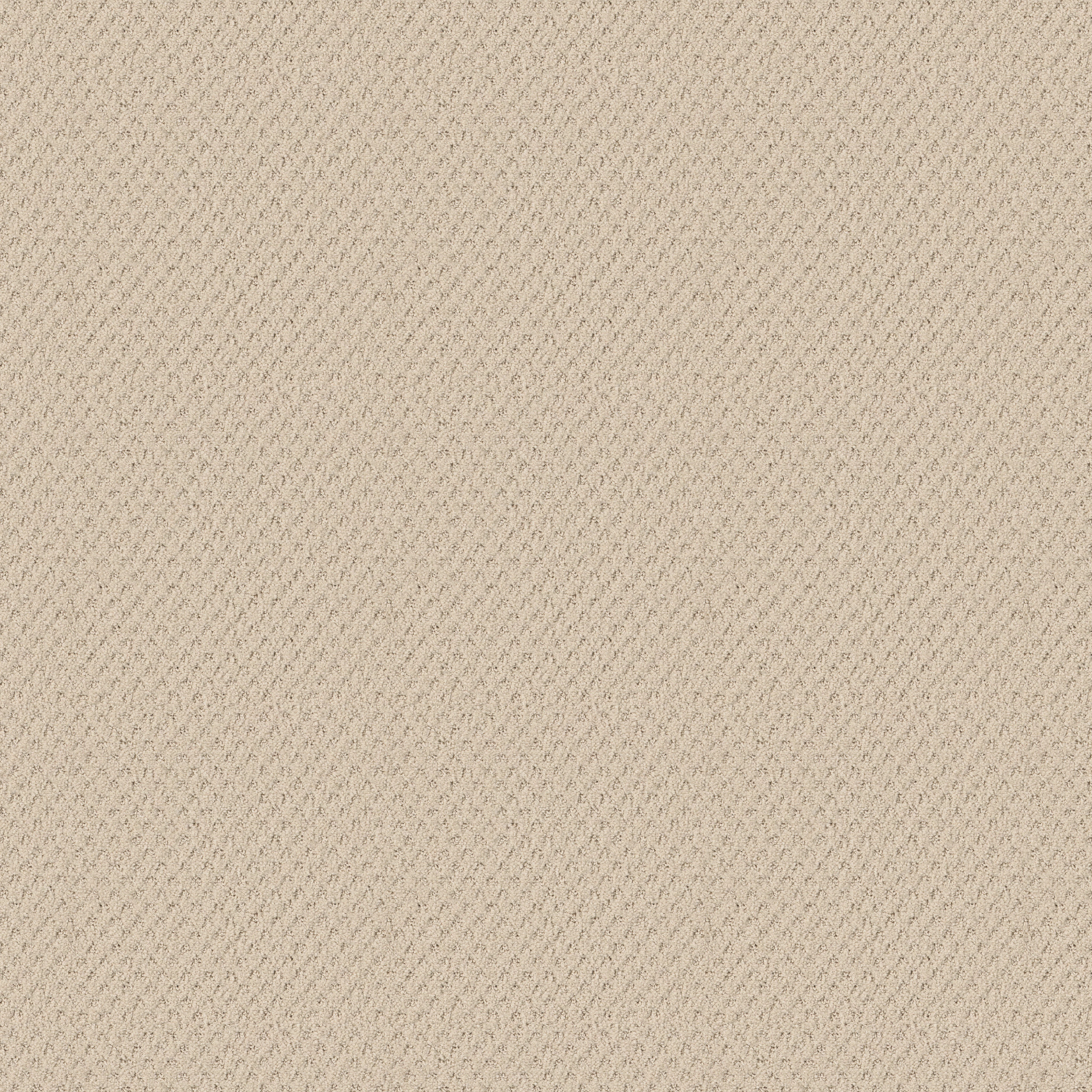 Vista Grande ZB262 00121 | Shaw Builder Flooring