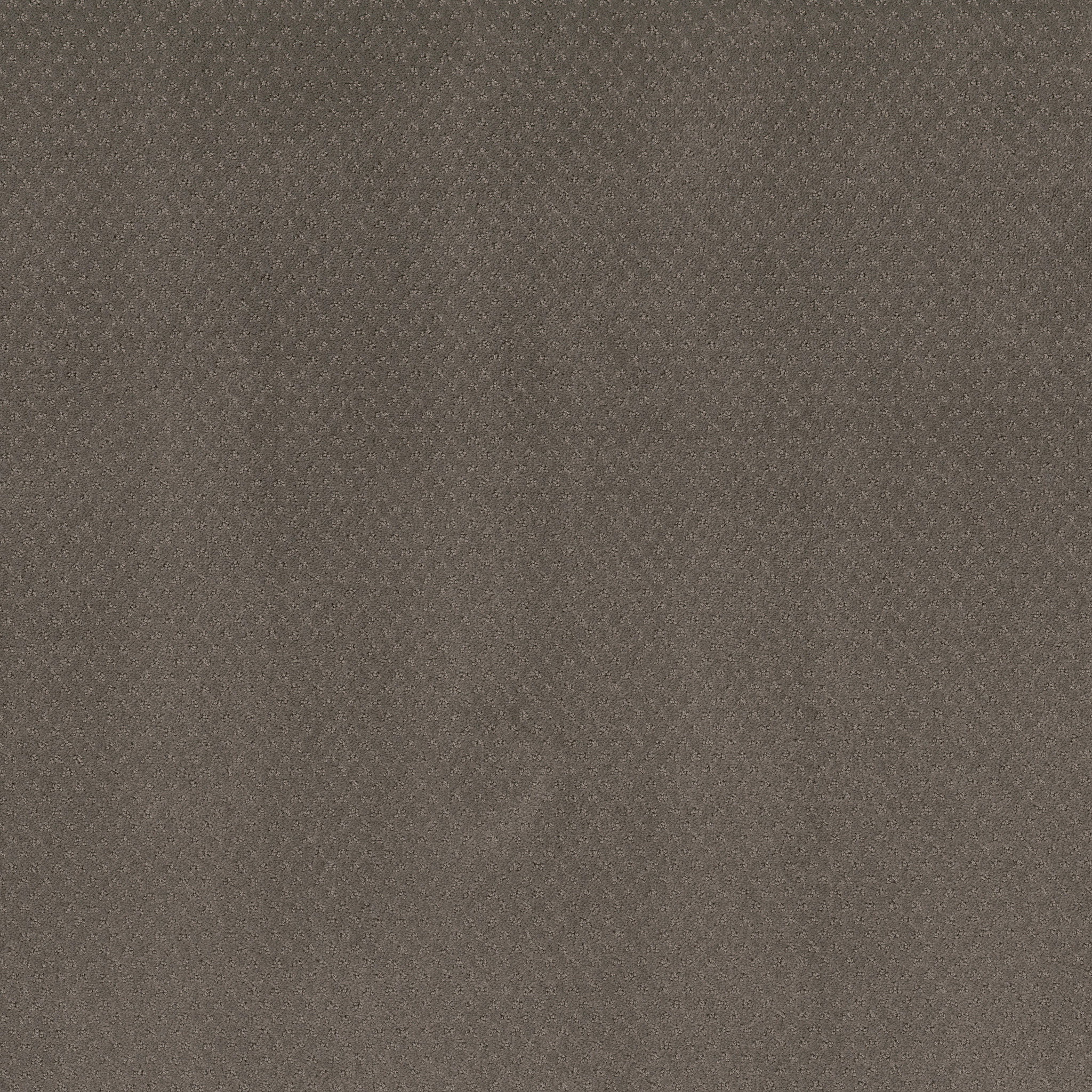 vista_grande potting_soil carpets zb26200573 Shaw Builder Flooring