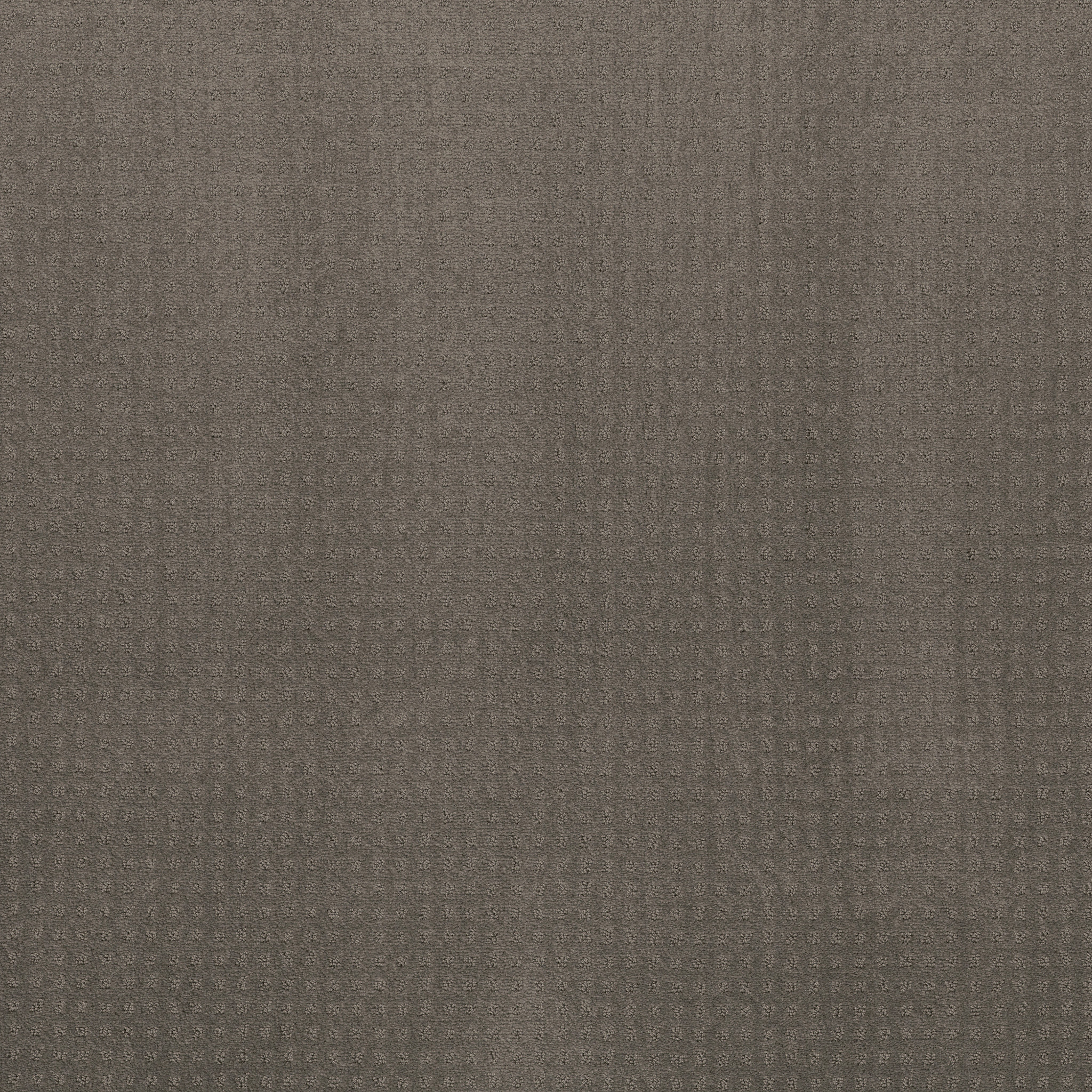 time_square potting_soil carpets zb26300573 Shaw Builder Flooring