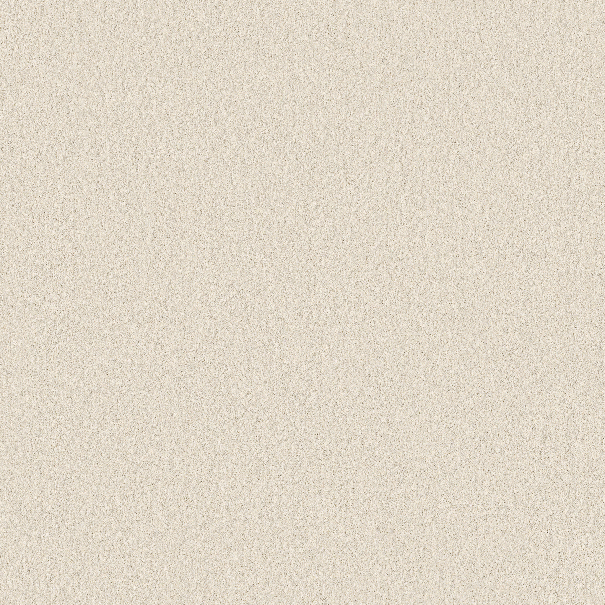 Cheerful - Cloud - ZB267_00111