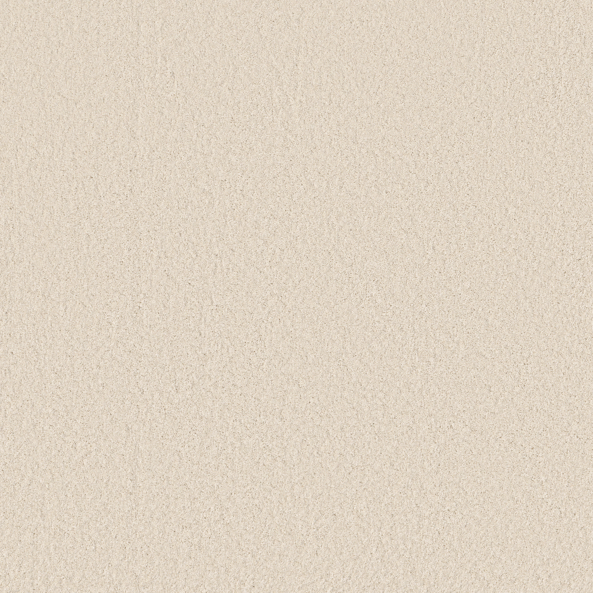 Cheerful-Angora-ZB267_00112