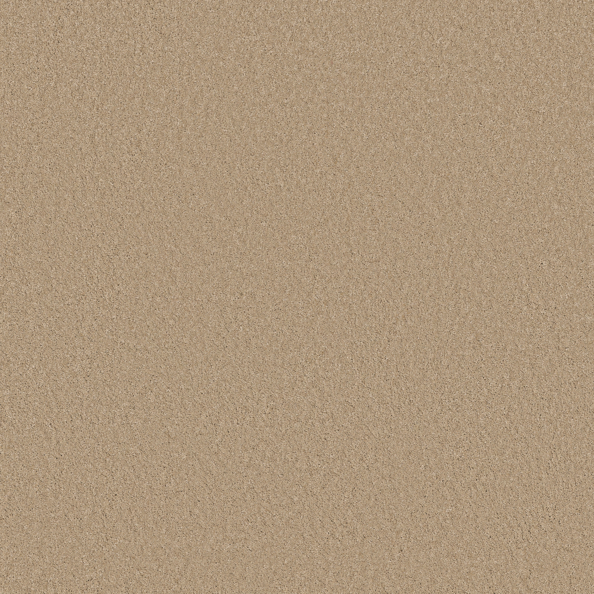 Cheerful-Transparent-ZB267_00114