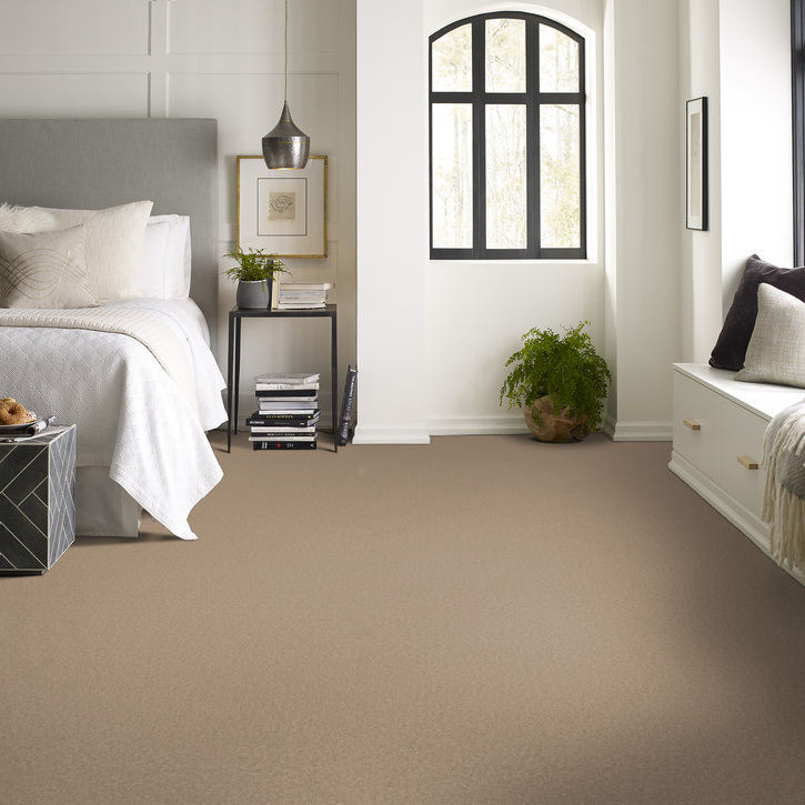 cheerful - brulee | carpets | zb267-00124 | Shaw Builder Flooring