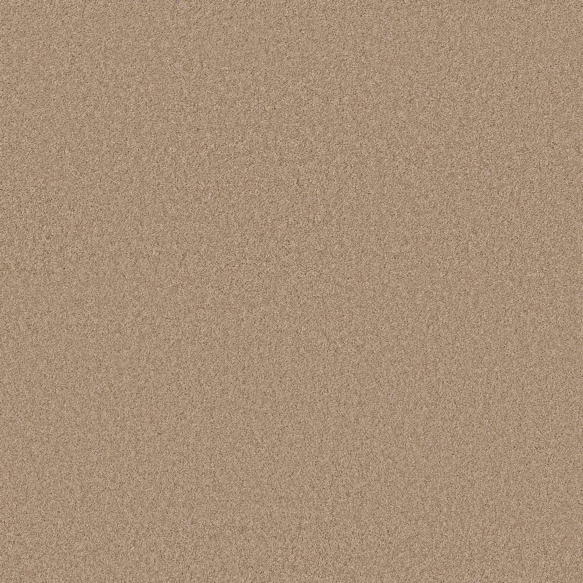 Cheerful-Brulee-ZB267_00124