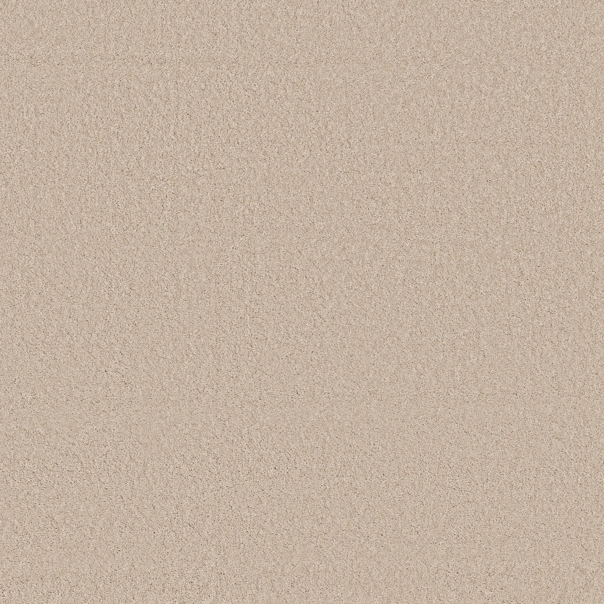 Cheerful-Tapioca-ZB267_00162