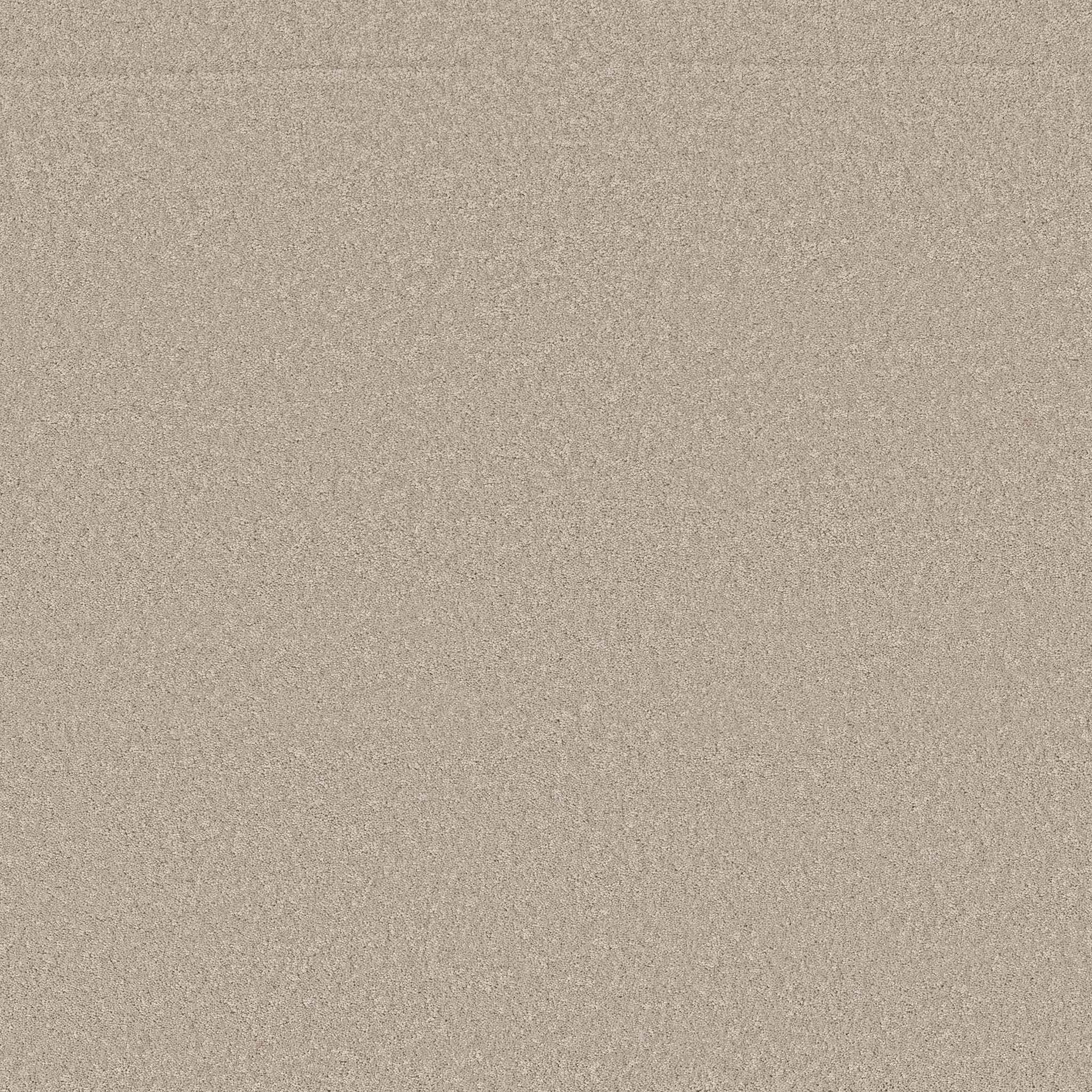 Cheerful-Sandshell-ZB267_00172