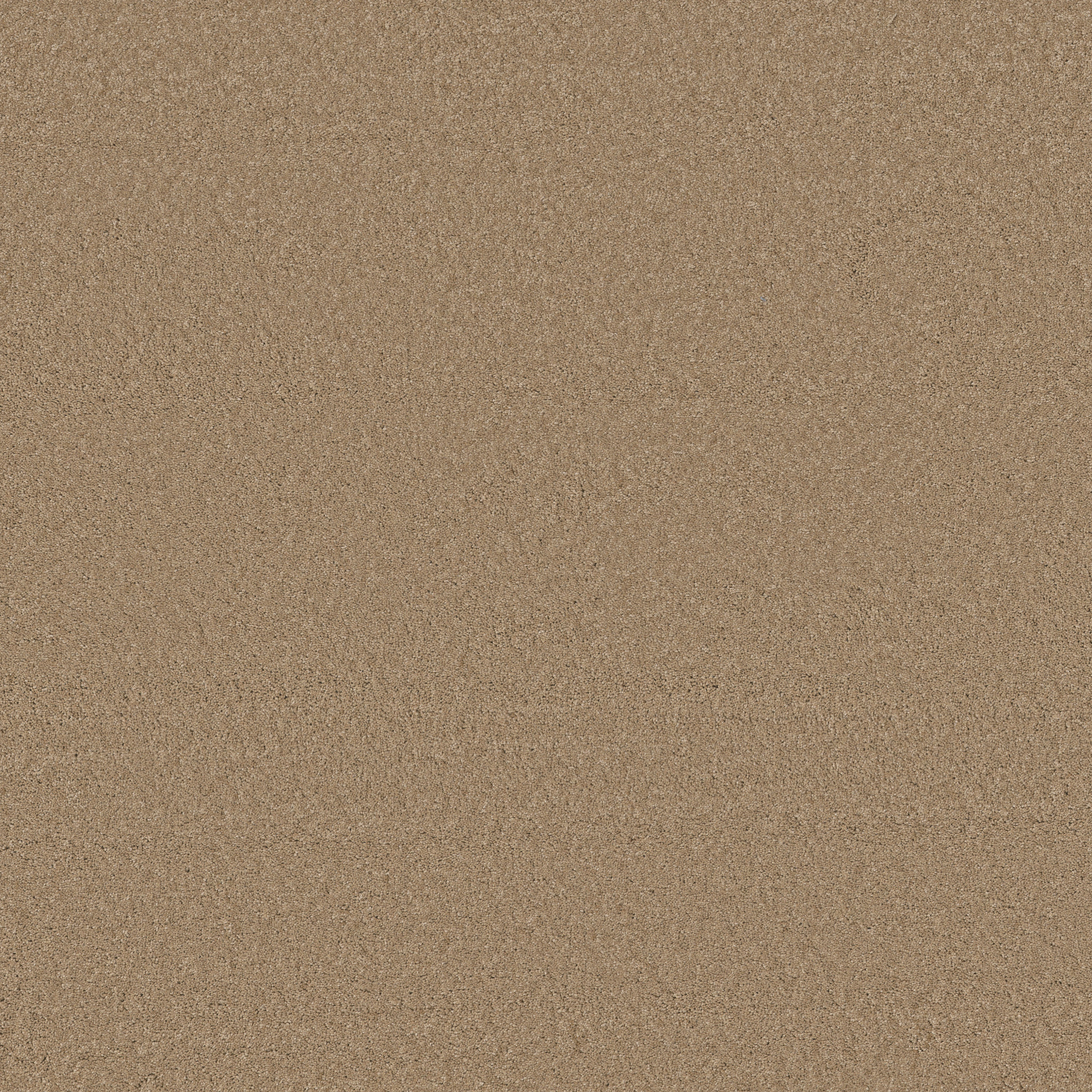 Cheerful-Natural-ZB267_00174