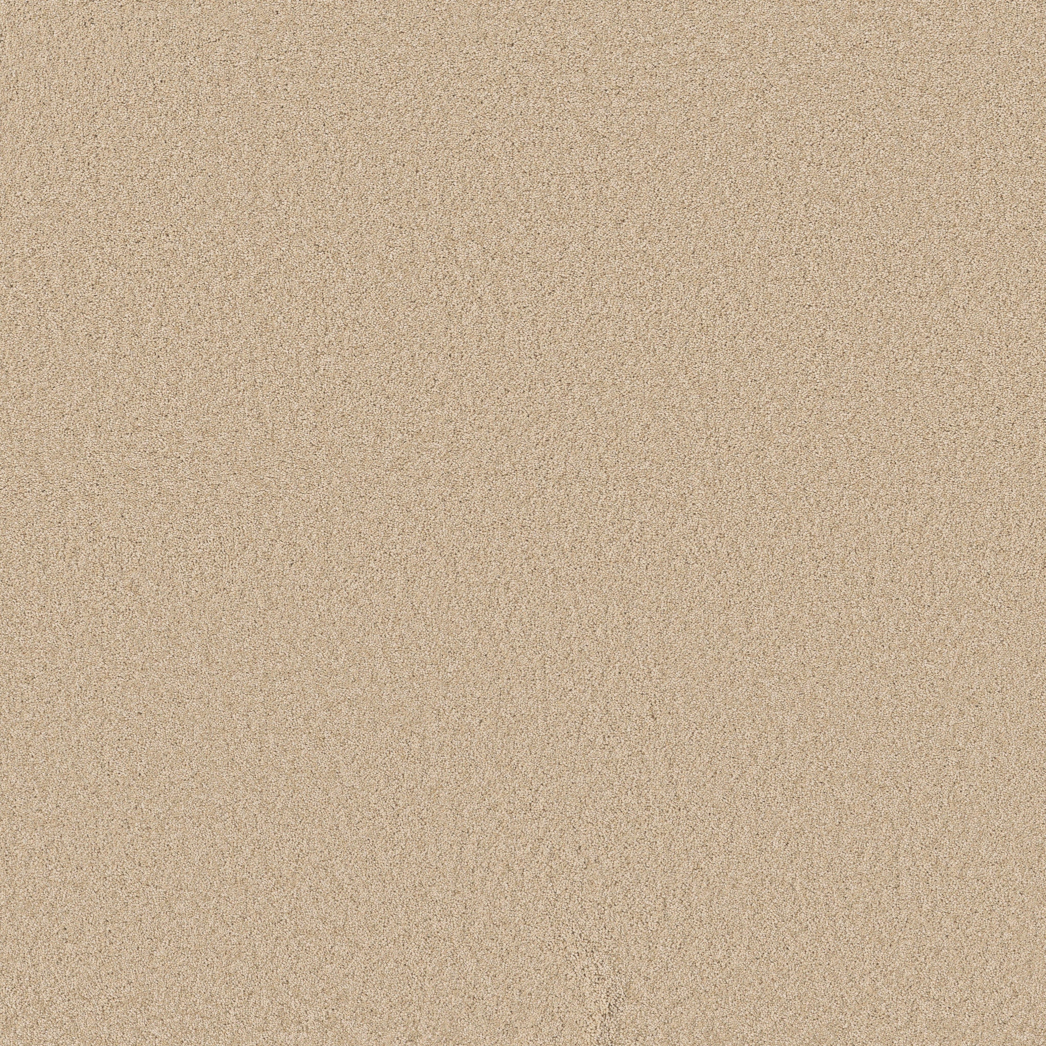Cheerful - Papyrus - ZB267_00222