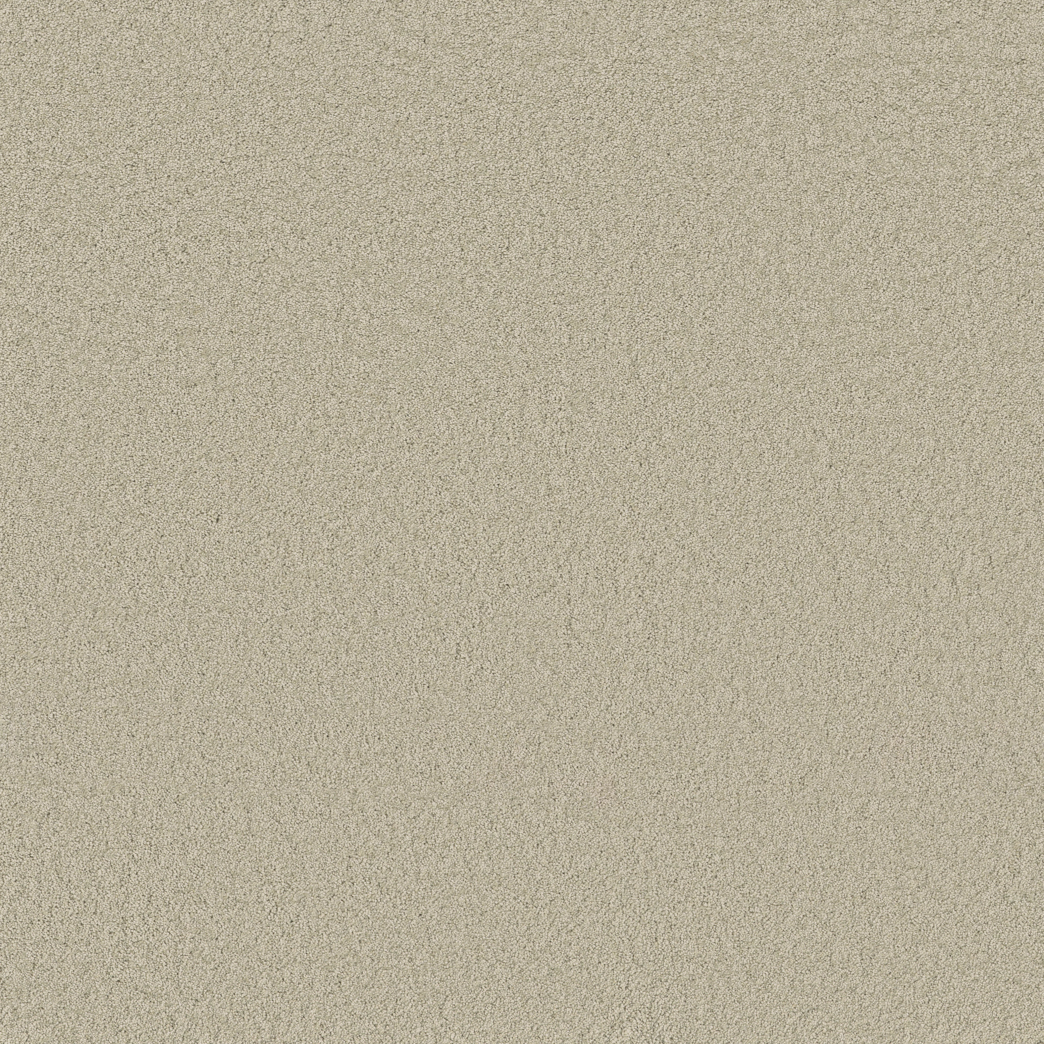 Cheerful-Aloe Wash-ZB267_00322