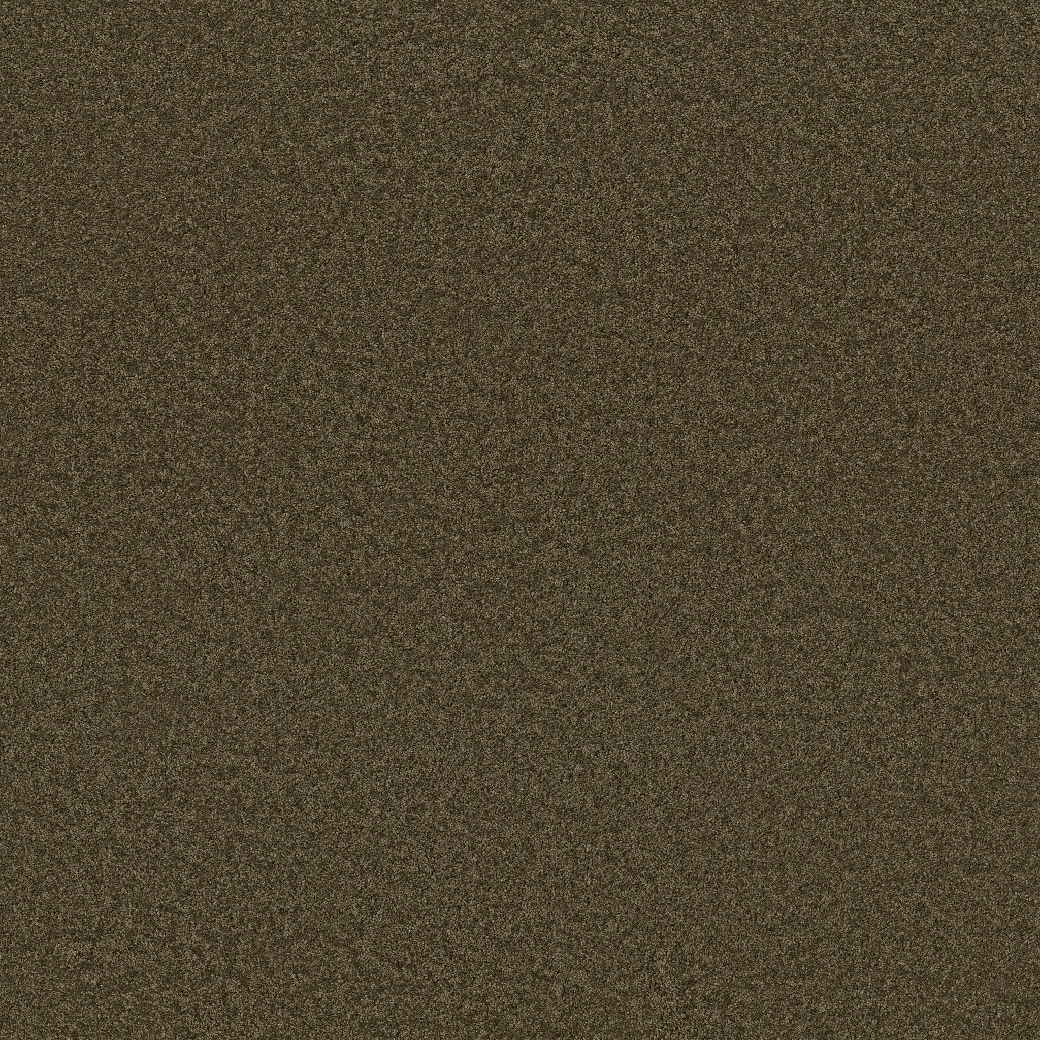 Cheerful-Dark Olive-ZB267_00339