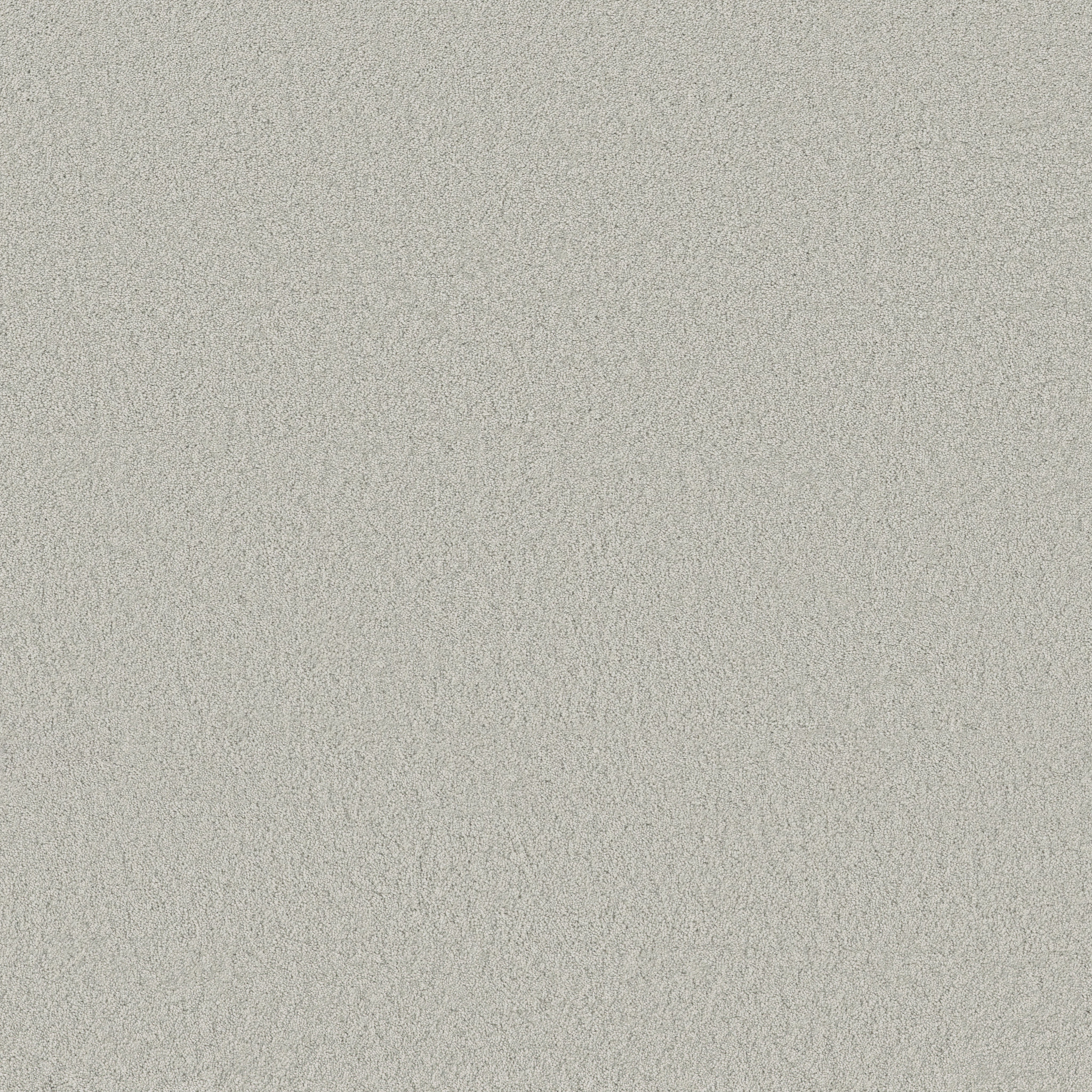 Cheerful-Icy Morn-ZB267_00341