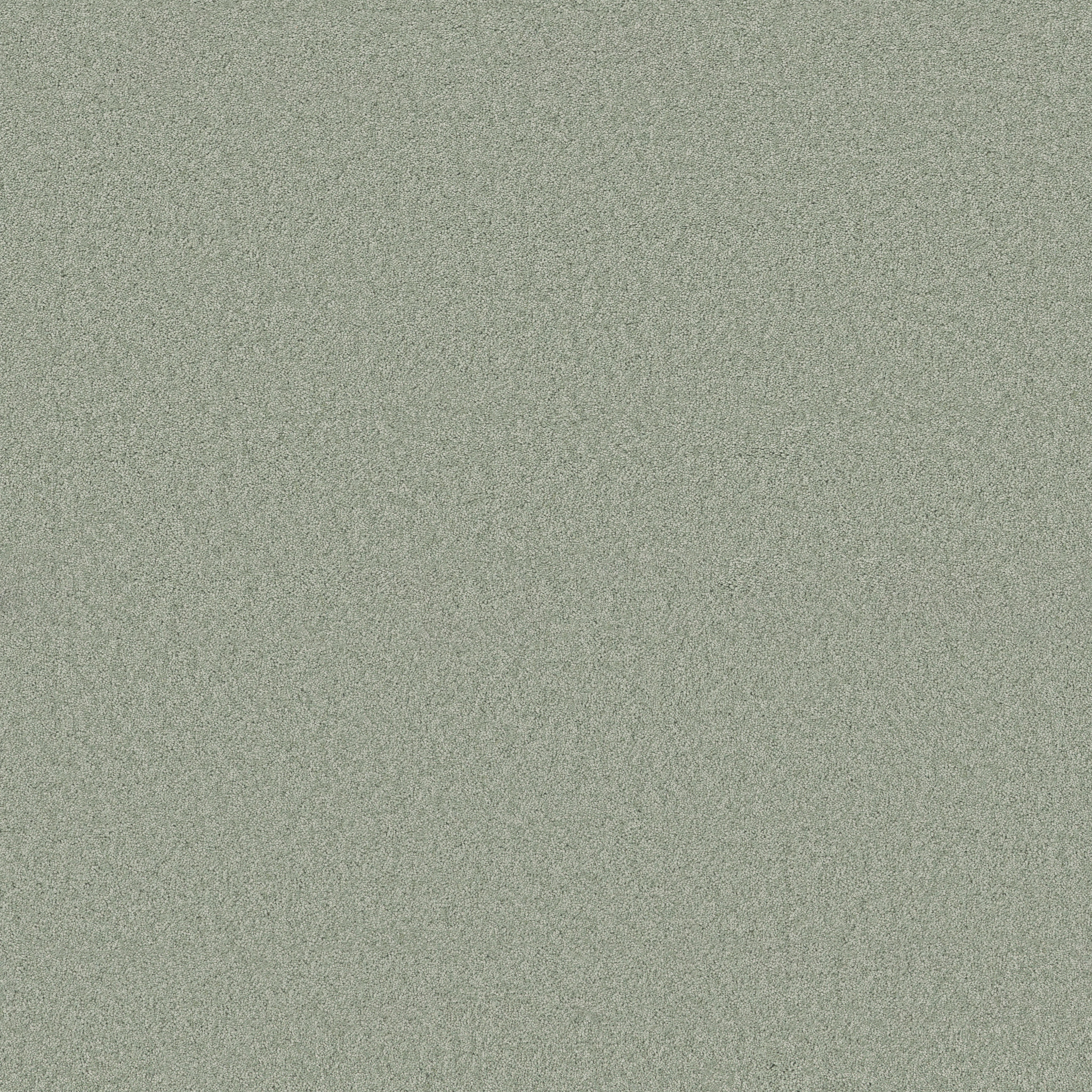 Cheerful-Misty Jade-ZB267_00344